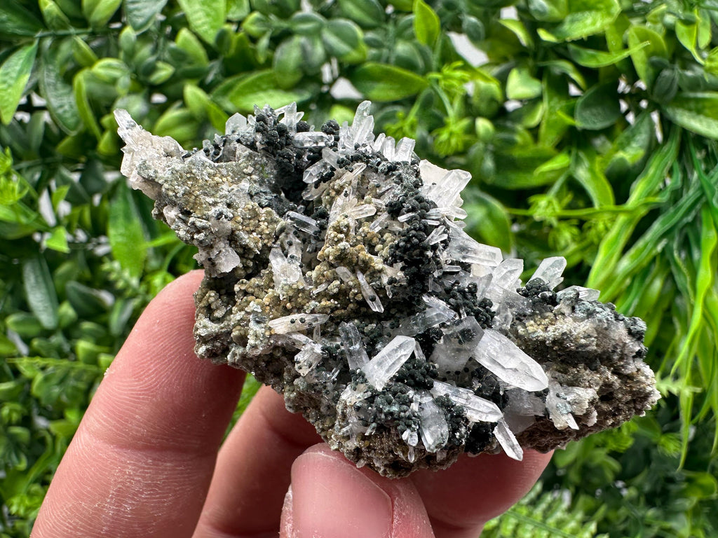 Transparent Quartz on Chlorite Matrix, Bulgaria Mineral Specimen