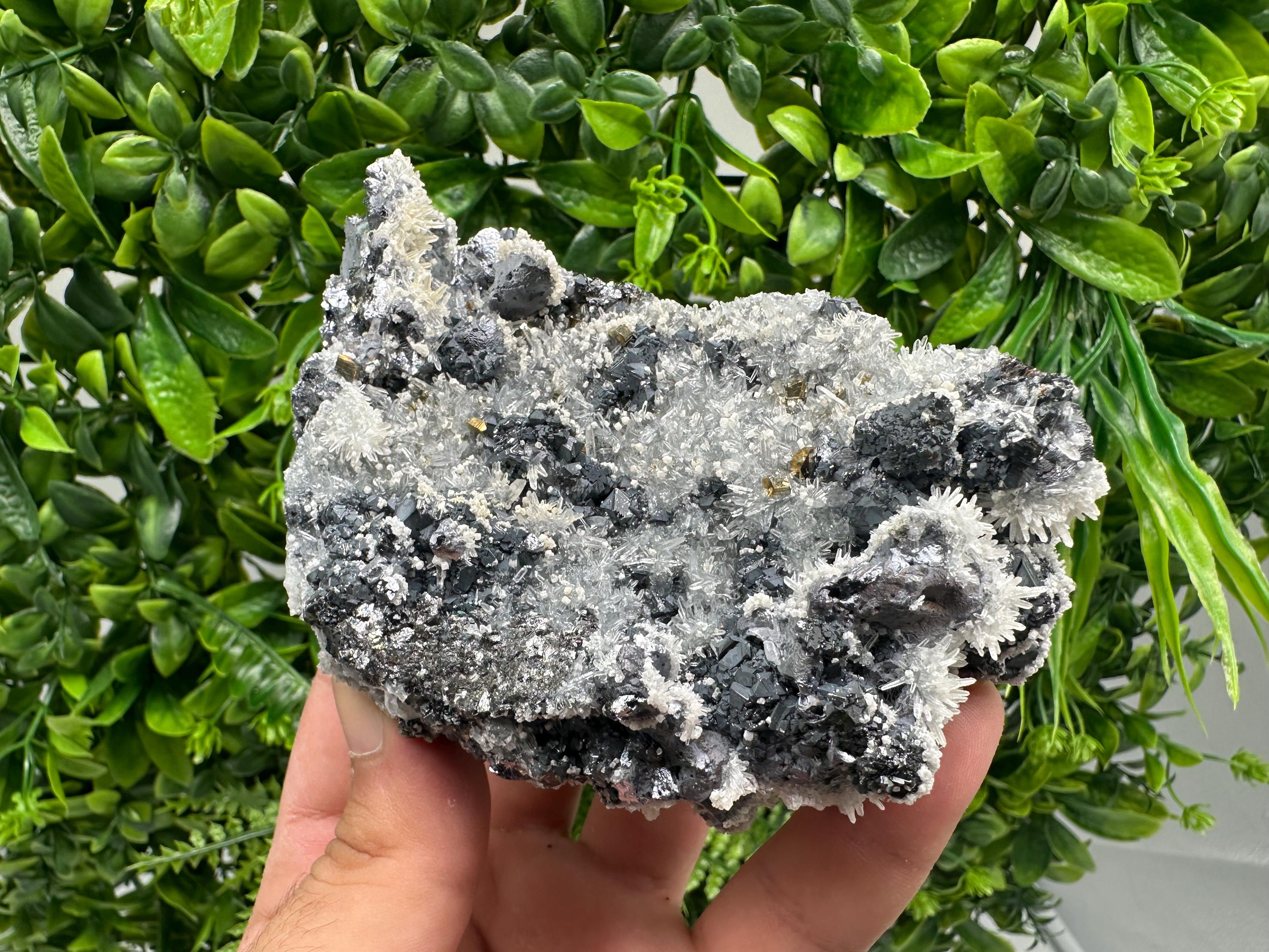 Galena Quartz Pyrite Mineral Specimen: Krushev Dol Mine, Bulgaria