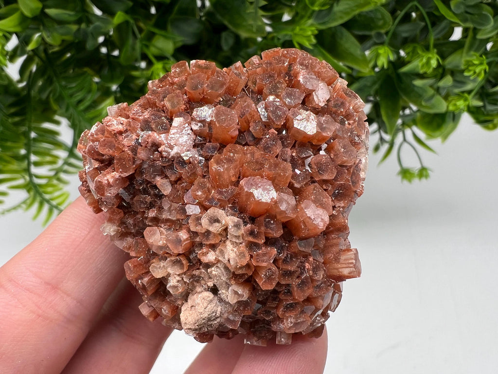 Aragonite Sputnik Cluster: Raw Crystal Stone, Moroccan Decor