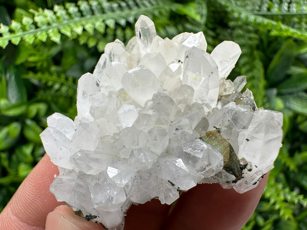 Transparent Quartz with Chalcopyrite, Djurcovo Mine, Bulgaria