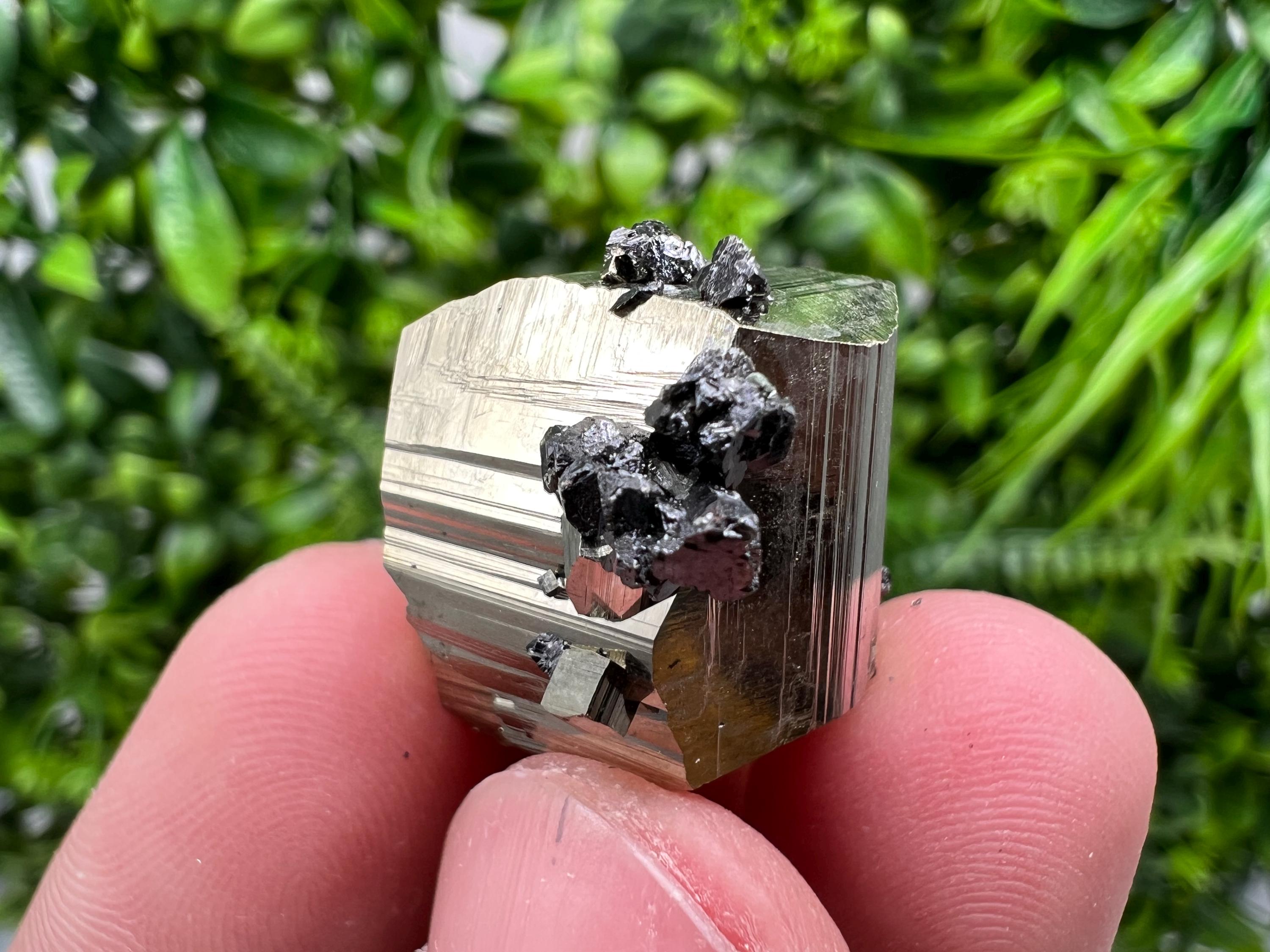 Rare Borieva Mine Pyrite Cluster, Rainbow Crystallization Specimen