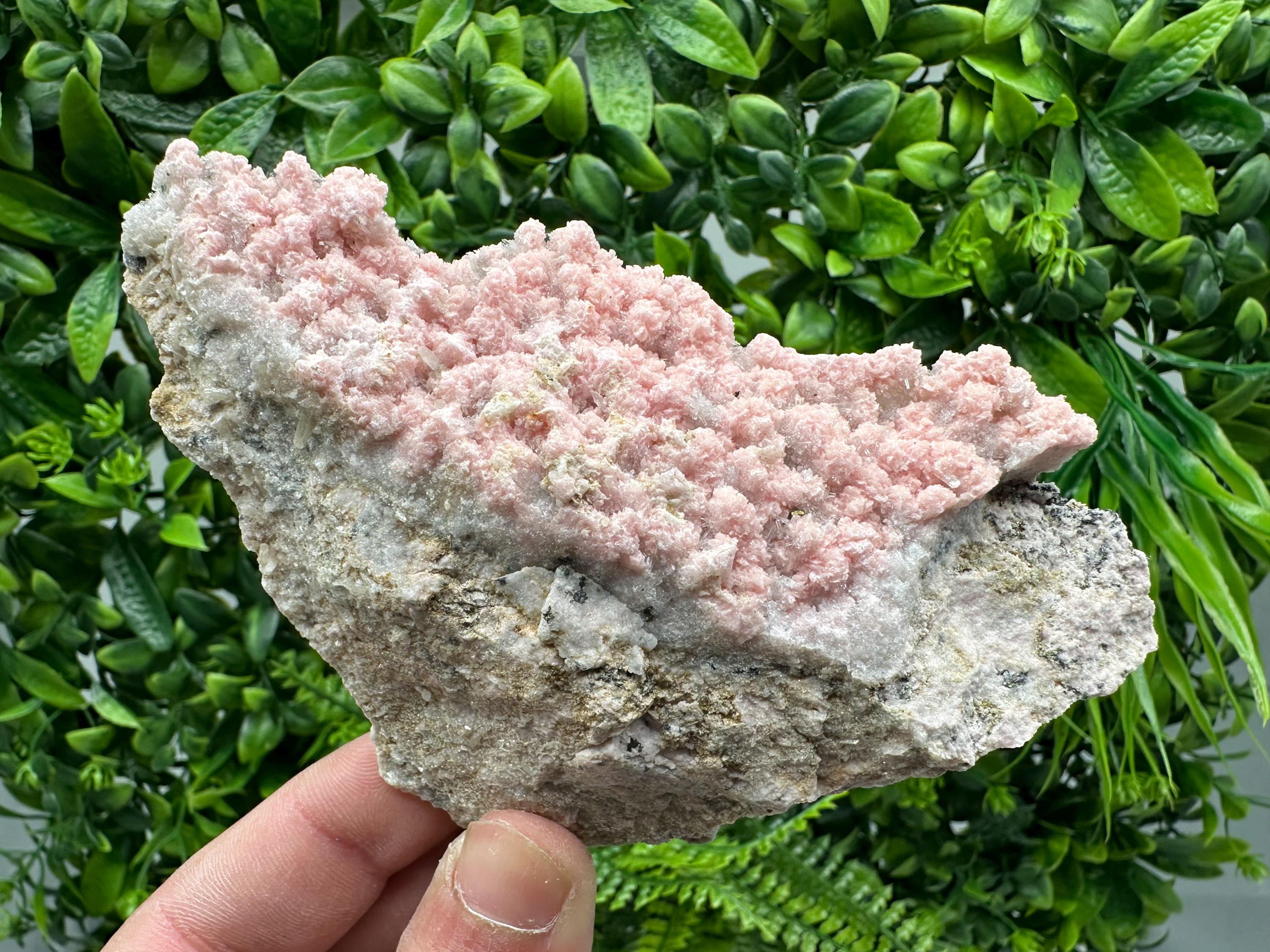 Rhodochrosite on Quartz, Starnica Mine, Bulgaria