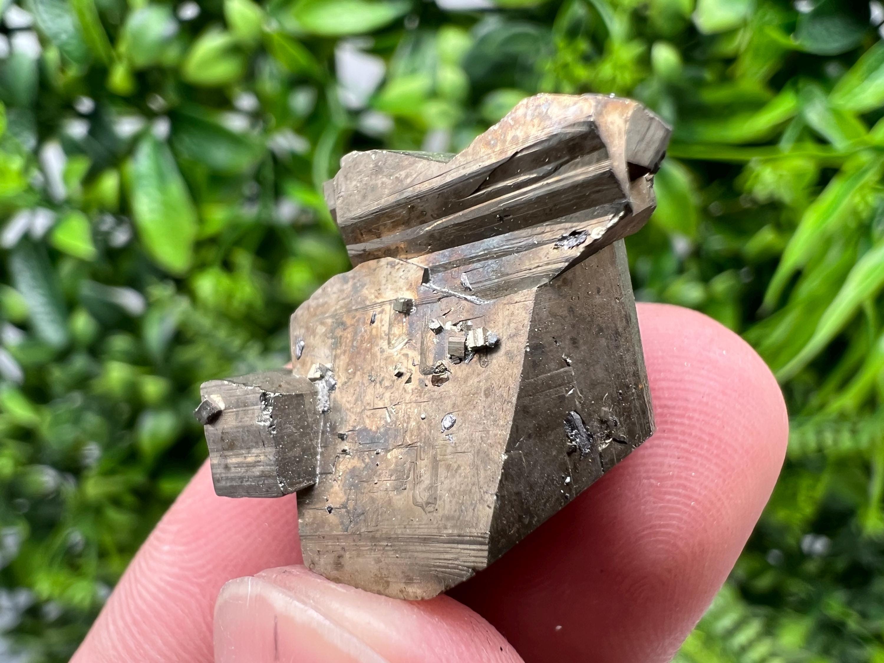 Mini Rainbow Pyrite Cluster: Borieva Mine, Bulgaria