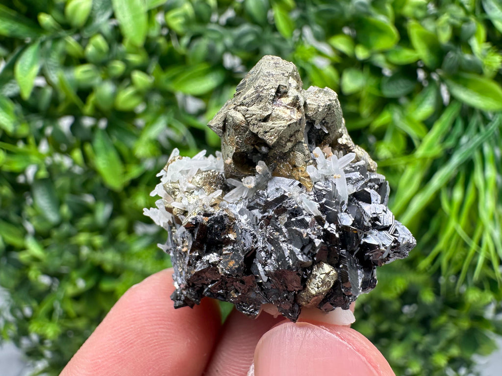 Wonderful Chalcopyrite on Sphalerite from 9 th September mine,Madan,Bulgaria,natural,collection mineral specimen,Home decor stone,Rare cryst