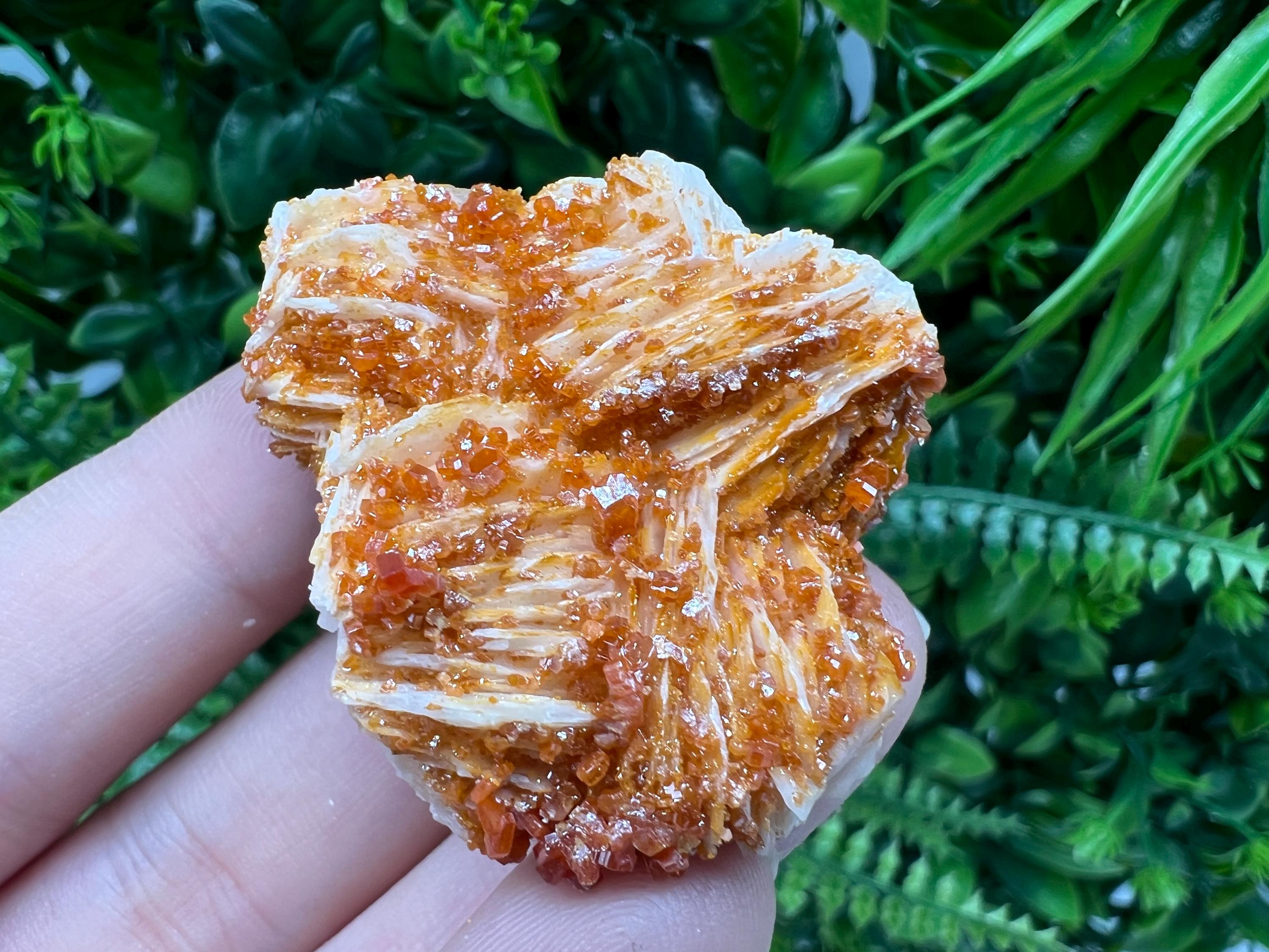 Red Vanadinite on Barite from Marocco,crystal minerals Speciment cluster Vanadinite crystal Vanadinite Geology Vanadinite cluster minerals