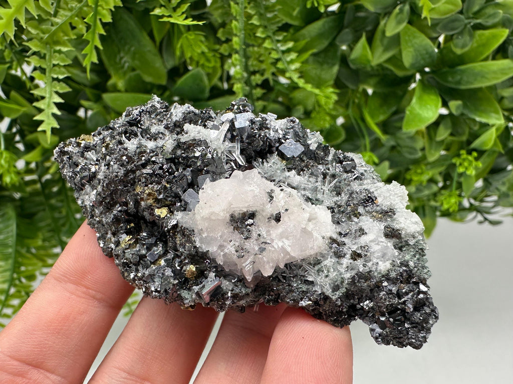 Pyrite on Green Quartz Specimen, Borieva Mine, Bulgaria