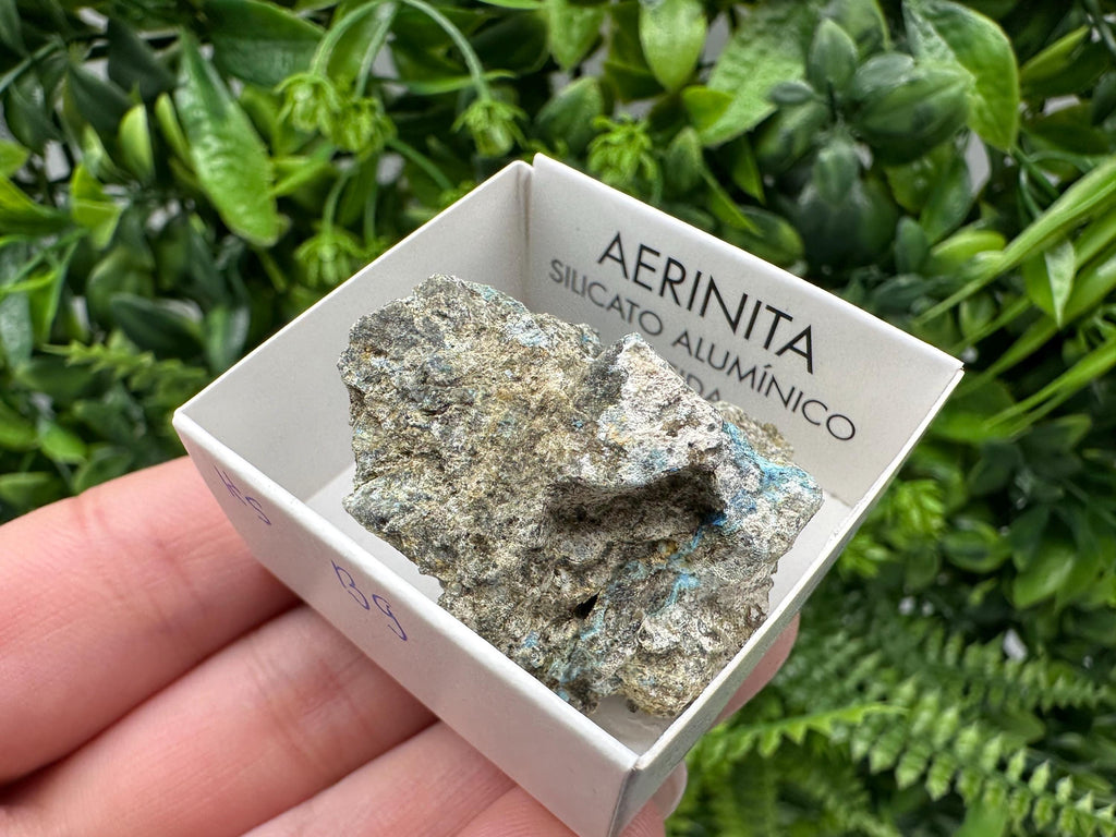 Rare Raw Aerinite Mineral Specimen: Lleida, Spain Crystal