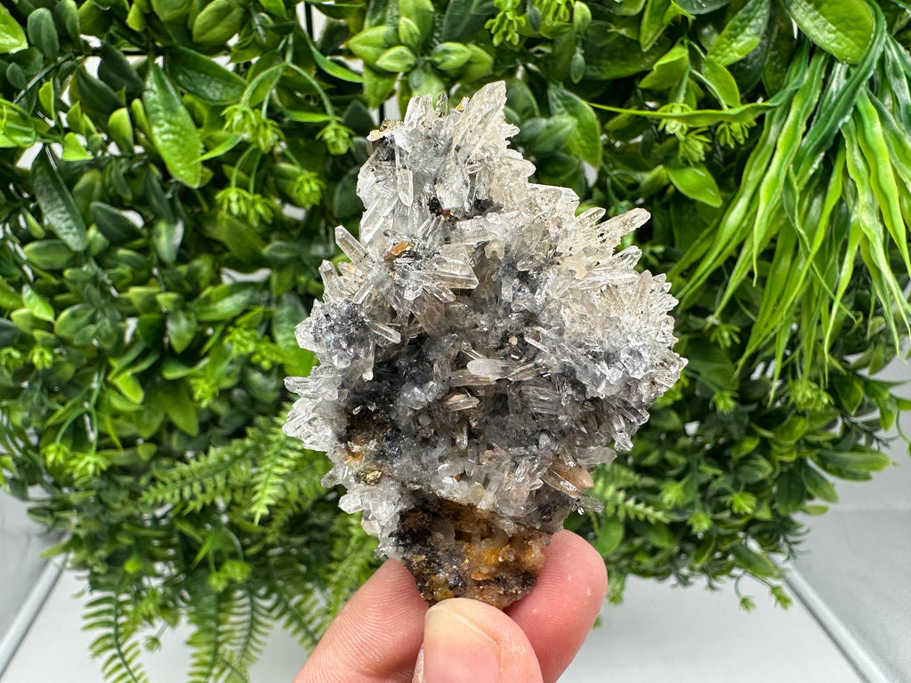Rainbow Pyrite with Quartz: Natural Mineral Souvenir, Bulgaria