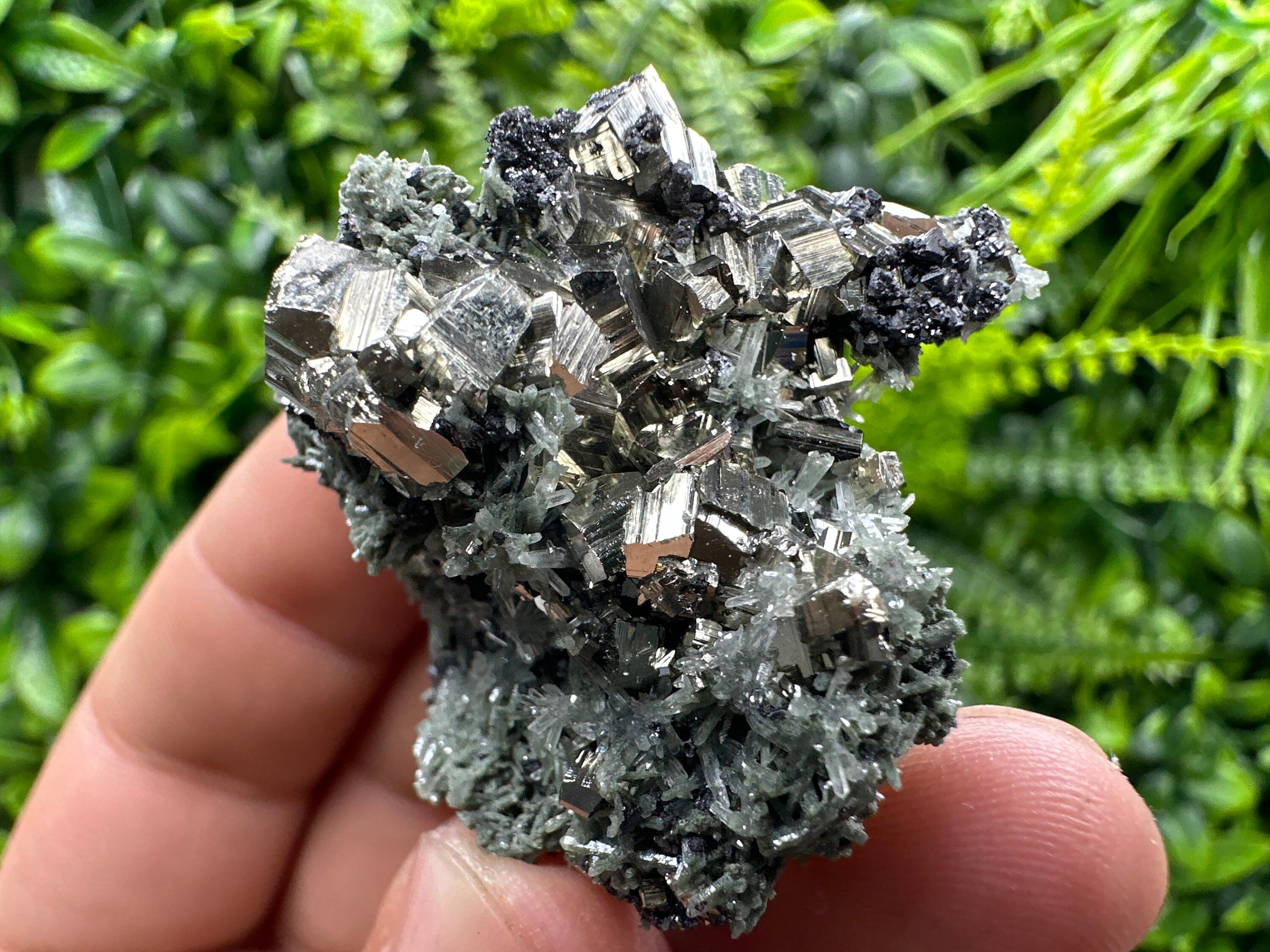 Crystallized Pyrite on Green Quartz: Borieva Mine, Bulgaria
