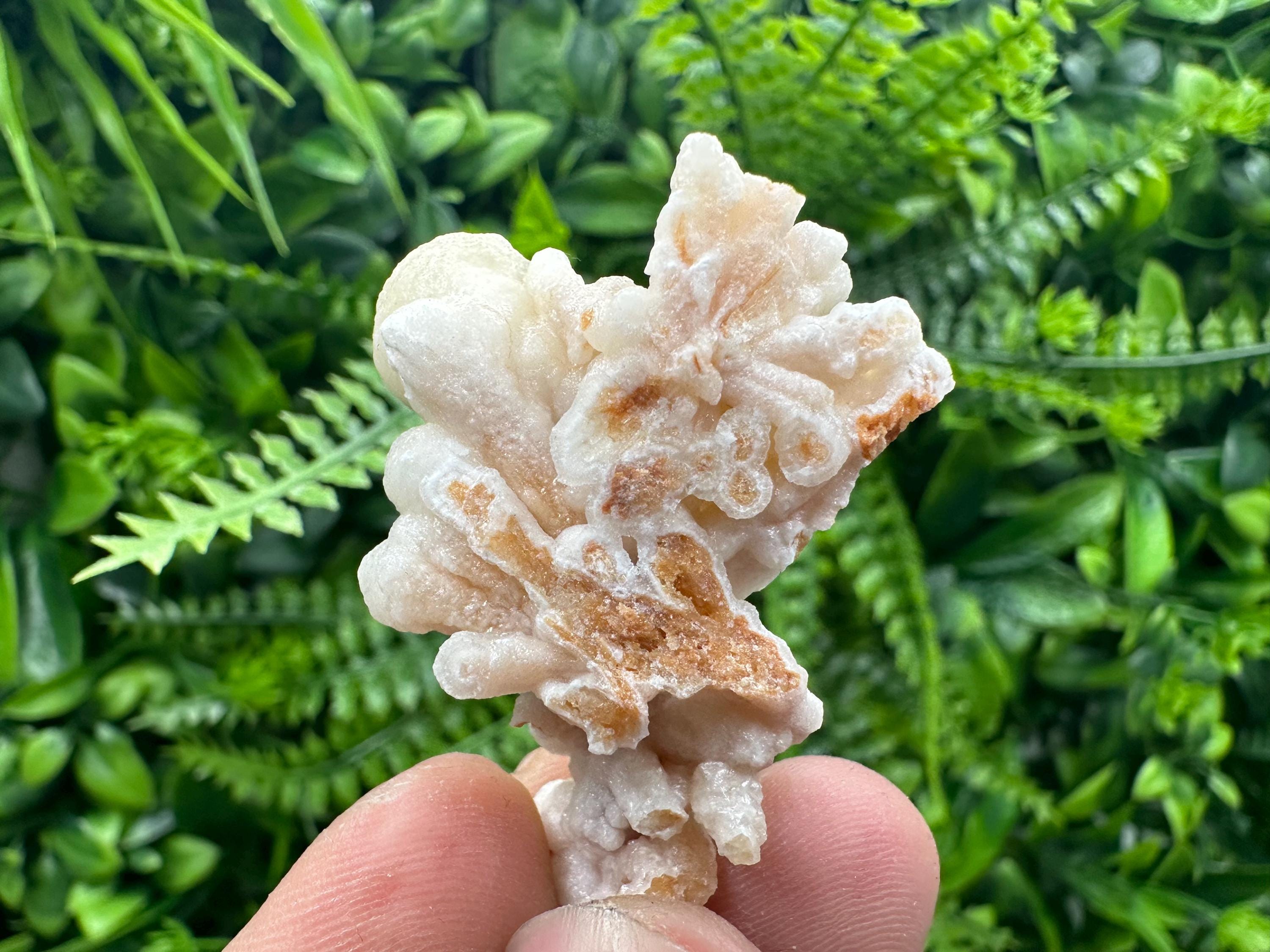 Aragonite Cluster, Bulgarian Mineral Specimen, Home Decor Stone