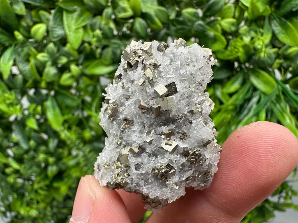 Pyrite on Green Quartz Mineral Specimen, Borieva Mine Bulgaria