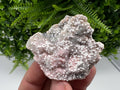RARE Rhodochrosite with White Calcite, Starnica Mine, Bulgaria
