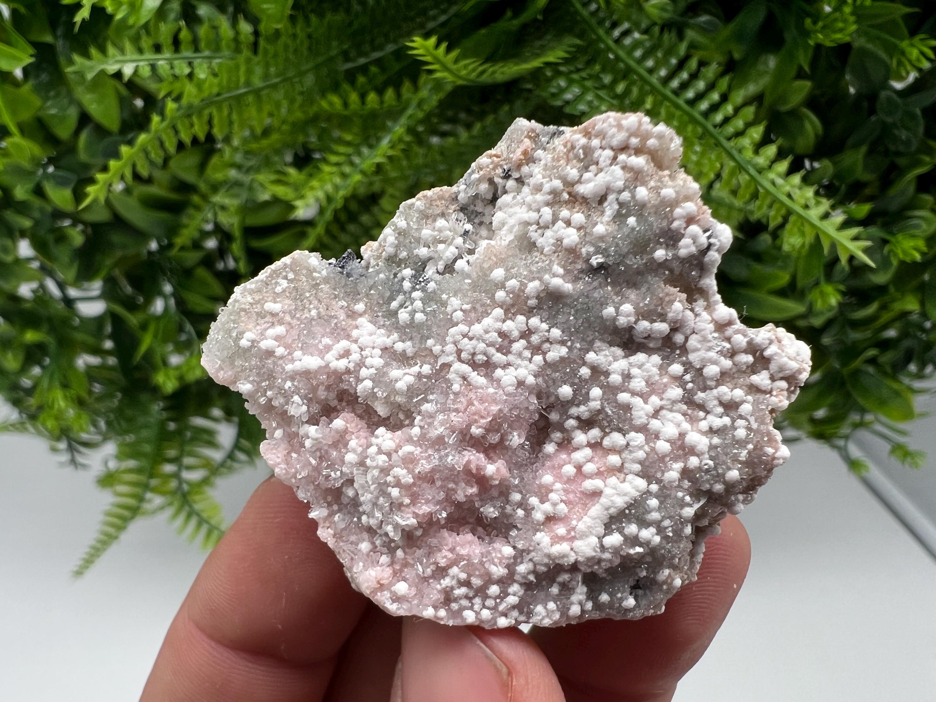 RARE Rhodochrosite with White Calcite, Starnica Mine, Bulgaria