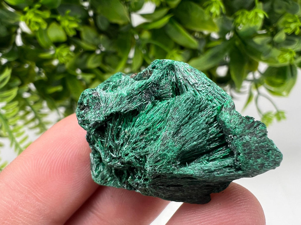 Malachite Crystal from Congo,Minerals,Crystals from Congo,Green Malachite, Malachite,Natural Malachite,Malachite Stone,Chakra, Specimens