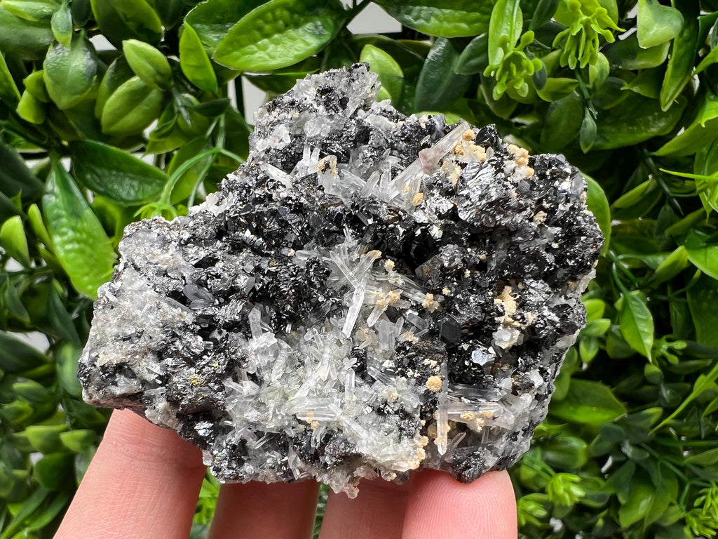 Galena Cluster with Siderite and Quartz, 9th September Mine, Bulgaria