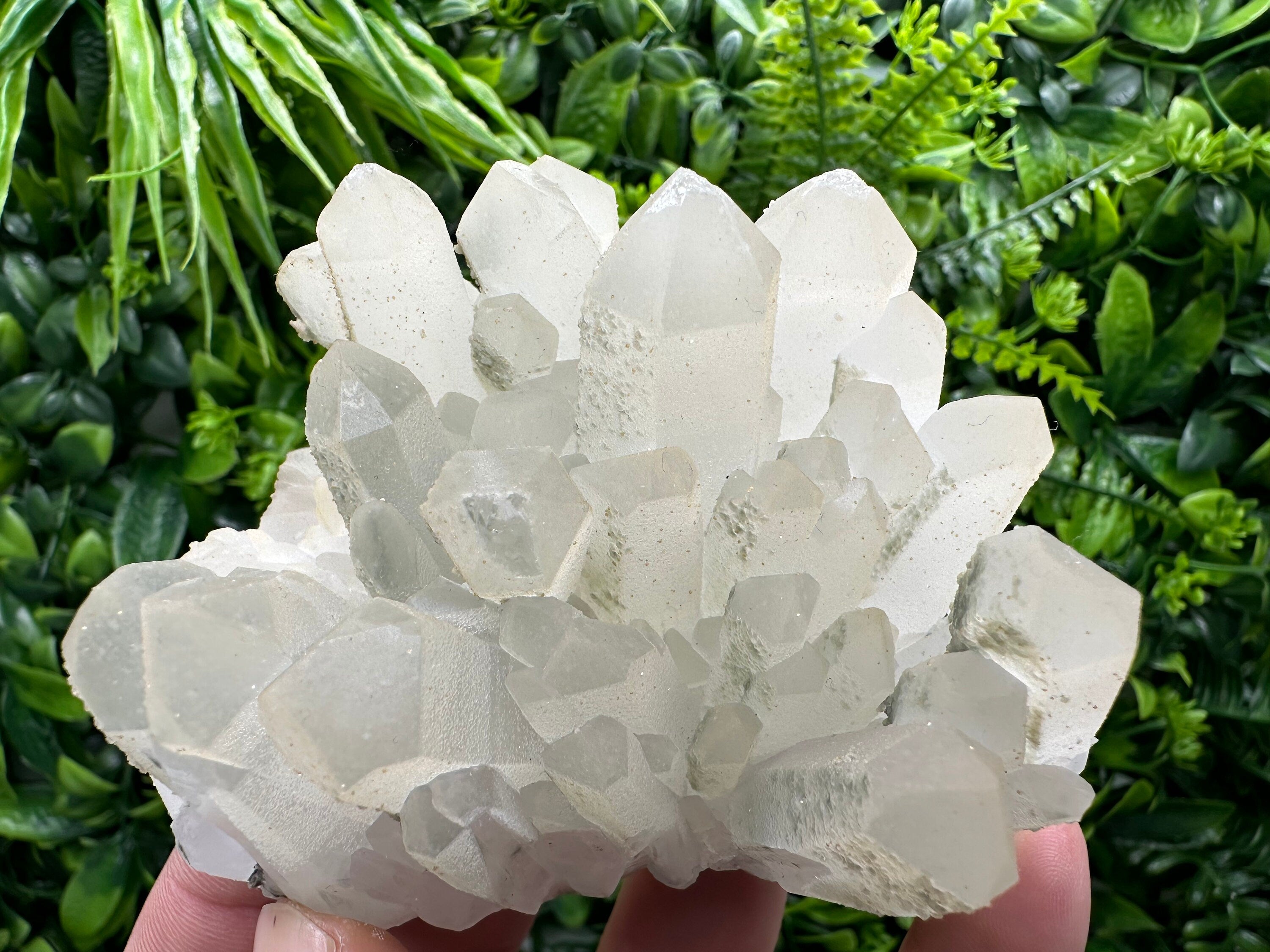 Chlorite Quartz Crystal Cluster: Borieva Mine, Bulgaria