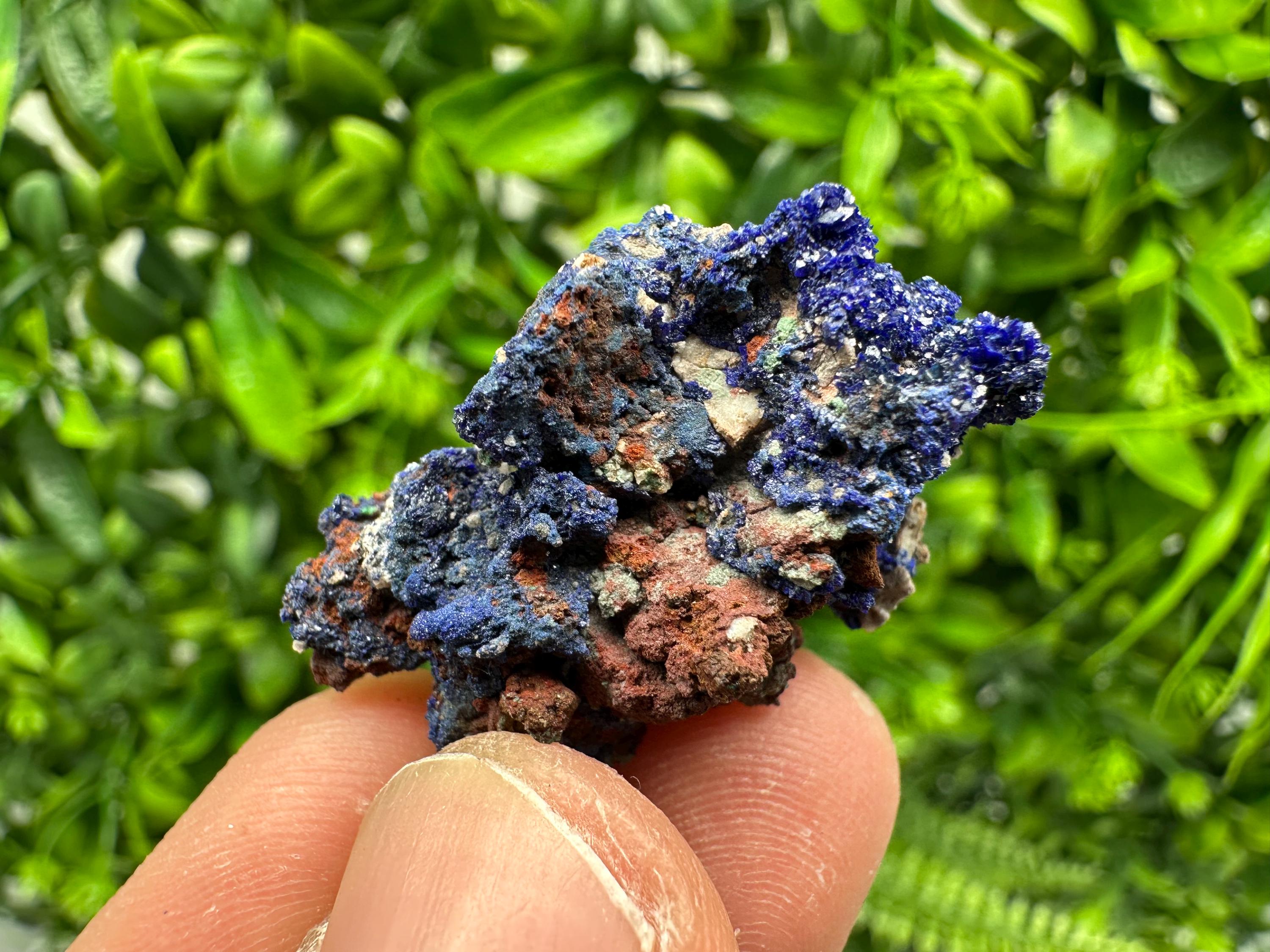 Crystallized Azurite-Kerrouchen,Morocco-Blue Azurite Specimen-High Quality Blue Azurite-Azurite Mineral Specimen, gemmy,lustrous of Azurite