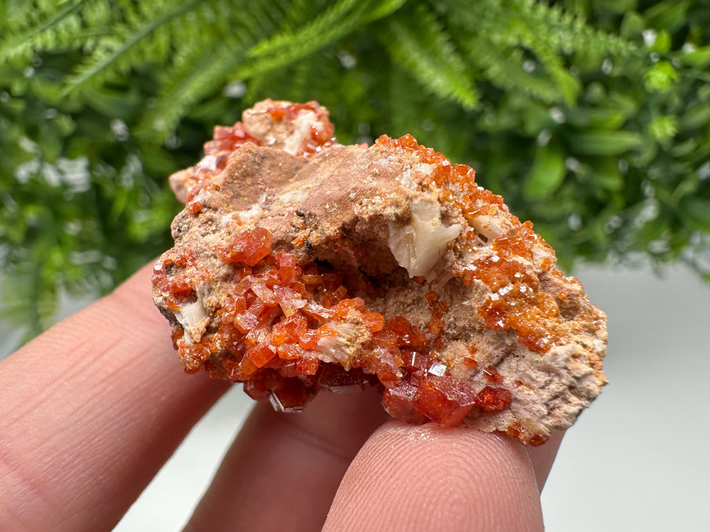 Red Vanadinite on Matrix from Marocco,crystal minerals Speciment cluster Vanadinite crystal Vanadinite Geology Vanadinite cluster minerals