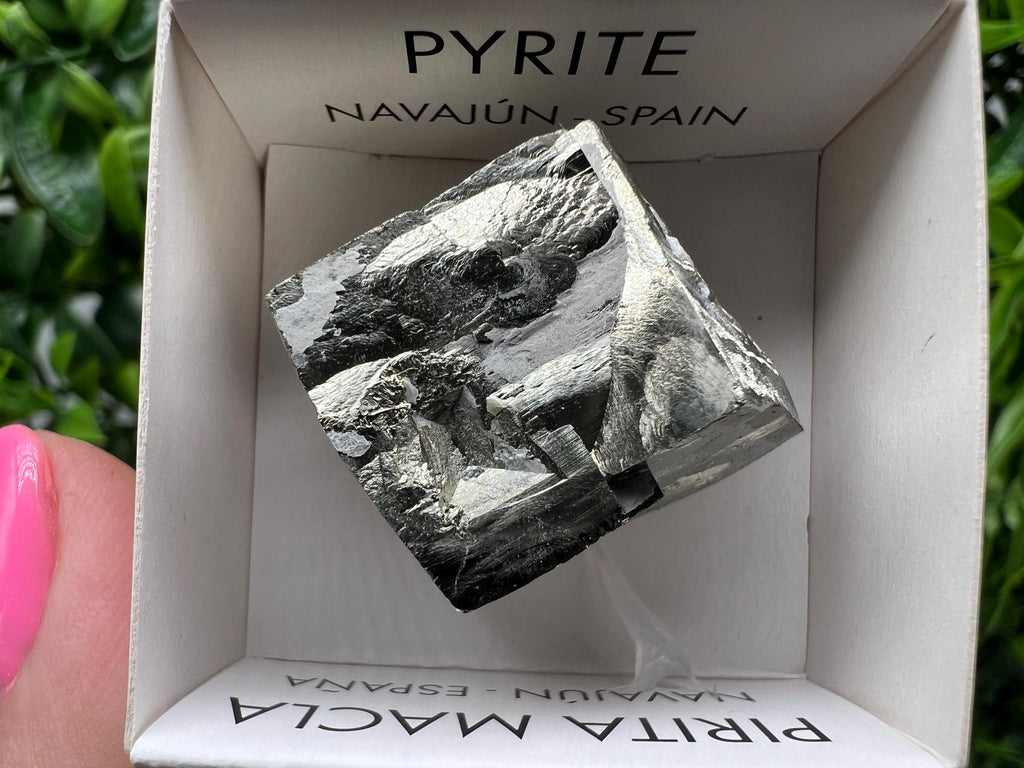 Navajun Pyrite Cube: Interjoined Gold Mineral Specimen, La Rioja Spain