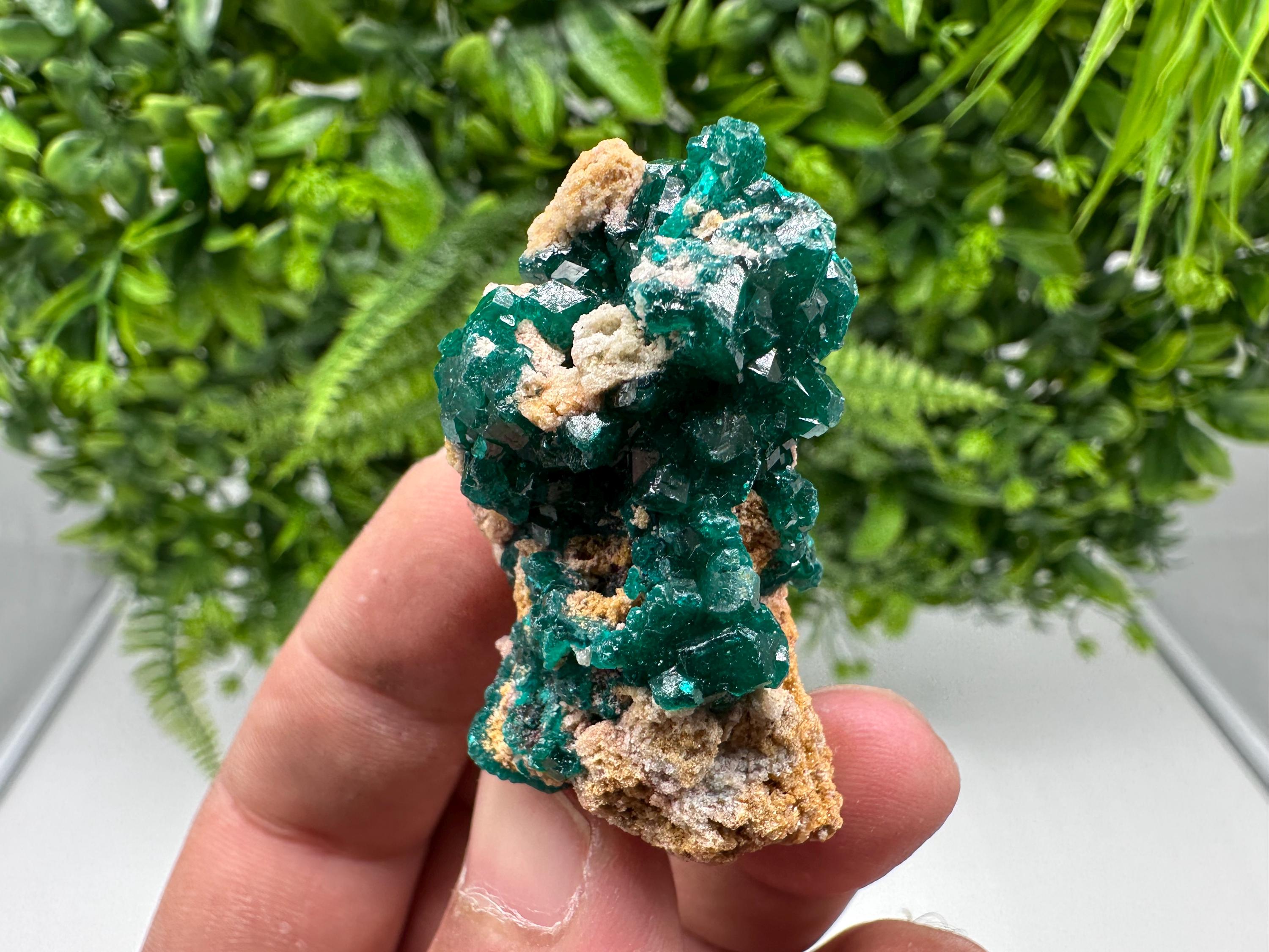 Stunning Green Dioptase from Sanda Hills,Mindouli,Pool Department,Mindouli District,Congo,green Dioptase,Dioptas Crystal,Dioptase collecting