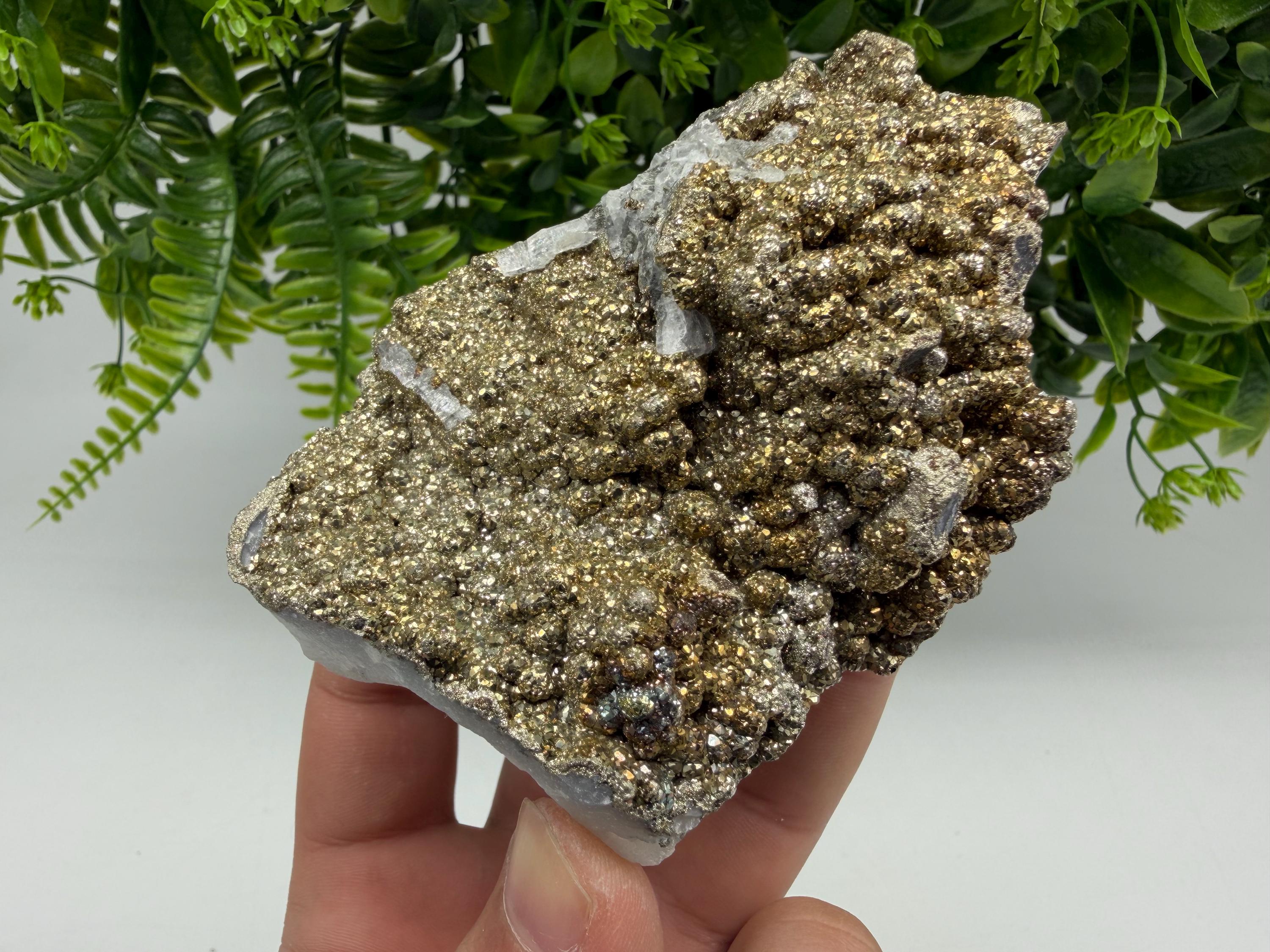 Marcasite Cluster on Chalcedony Mineral Specimen, Androvo Mine Bulgaria