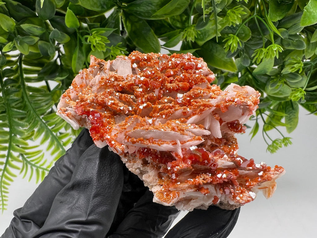 Red Vanadinite on Barite from Marocco,crystal minerals Speciment cluster Vanadinite crystal Vanadinite Geology Vanadinite cluster minerals