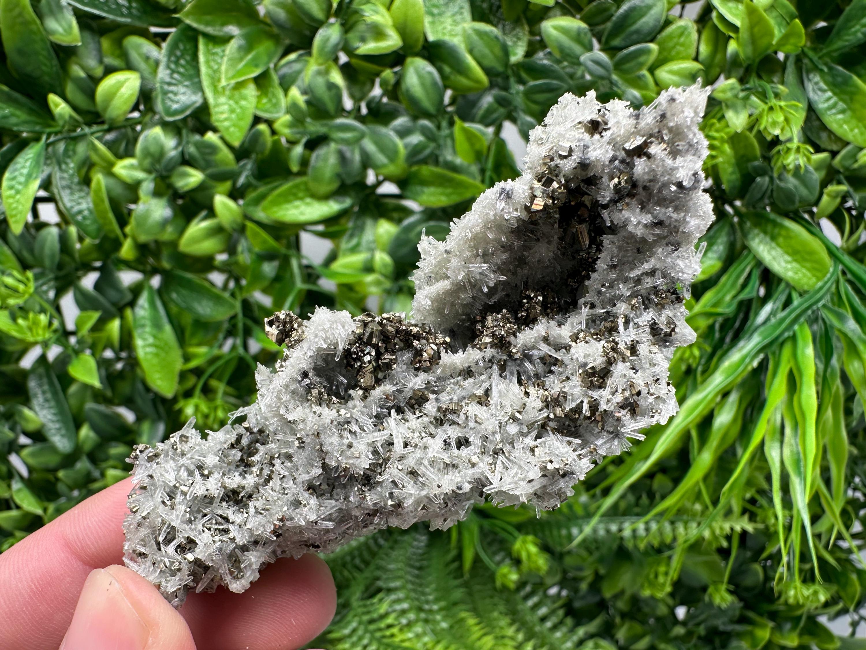 Pyrite on Needle Quartz, Madan Bulgaria, Collection Mineral Specimen