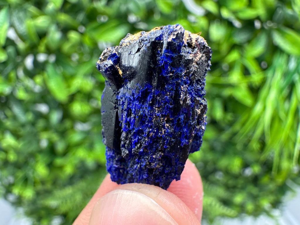 Crystallized Azurite-Kerrouchen,Morocco-Blue Azurite Specimen-High Quality Blue Azurite-Azurite Mineral Specimen, gemmy,lustrous of Azurite