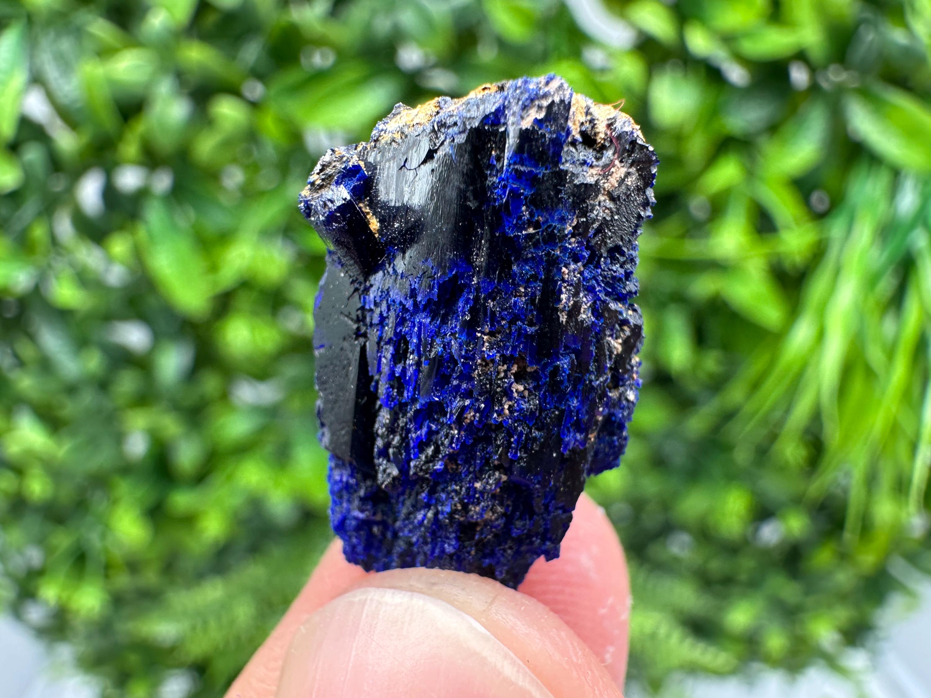 Crystallized Azurite-Kerrouchen,Morocco-Blue Azurite Specimen-High Quality Blue Azurite-Azurite Mineral Specimen, gemmy,lustrous of Azurite