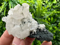 Calcite on Matrix, Borieva Mine Bulgaria, Rare Mineral Specimen