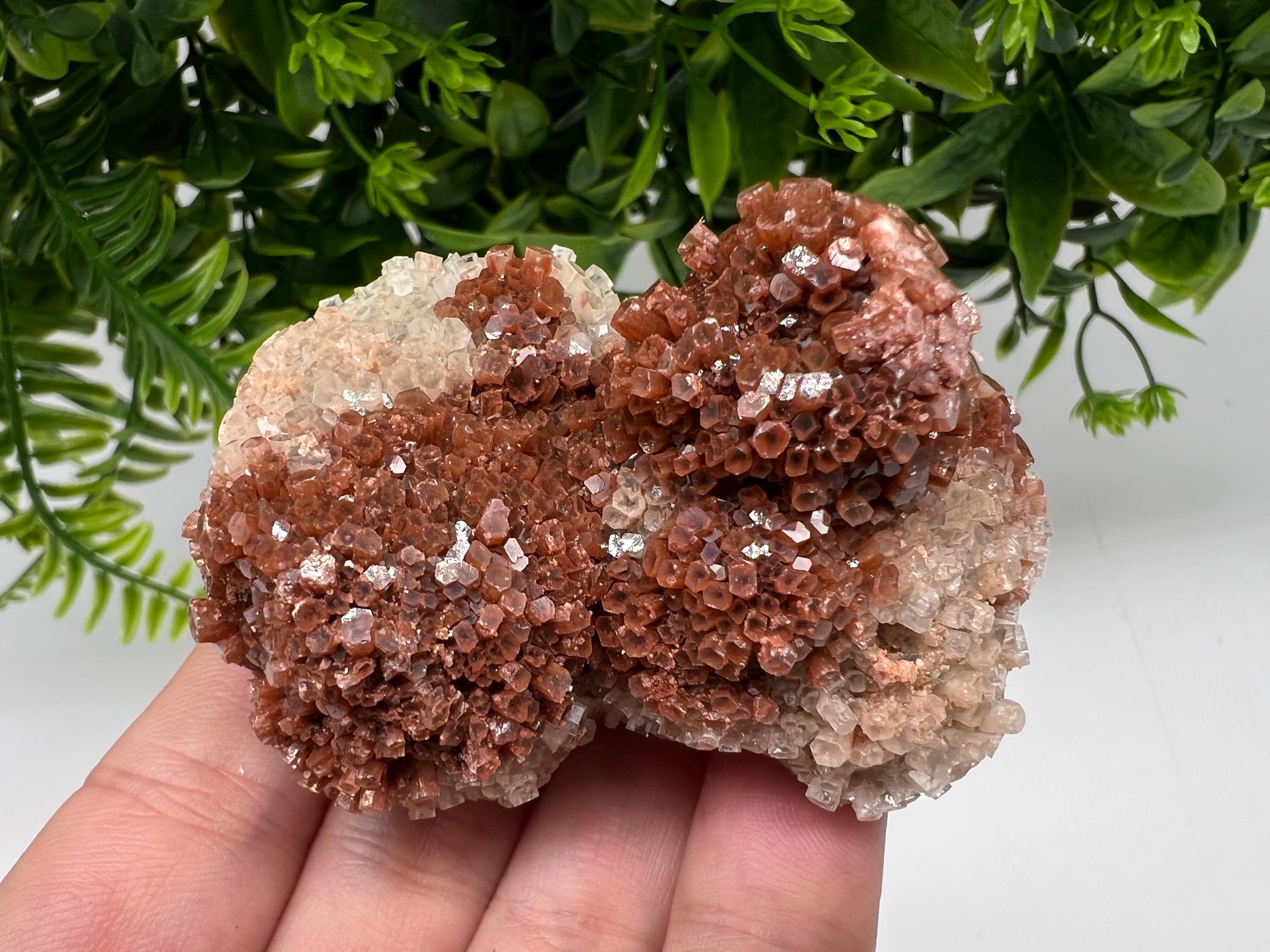 Large Aragonite Sputnik Cluster: Raw Moroccan Crystal Stone