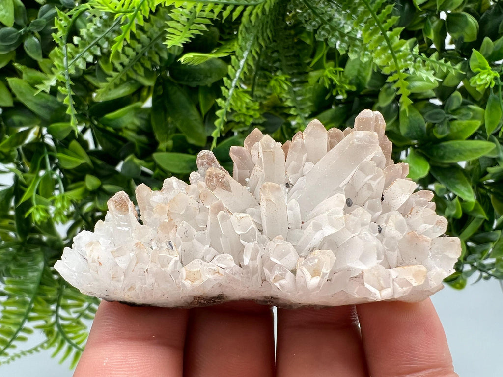 Quartz whit Brown Rhodochrosite from Djurcovo mine,Bulgaria,Quartz,Rhodochrosite cluster,natural mineral,collection crystal,mineral specimen