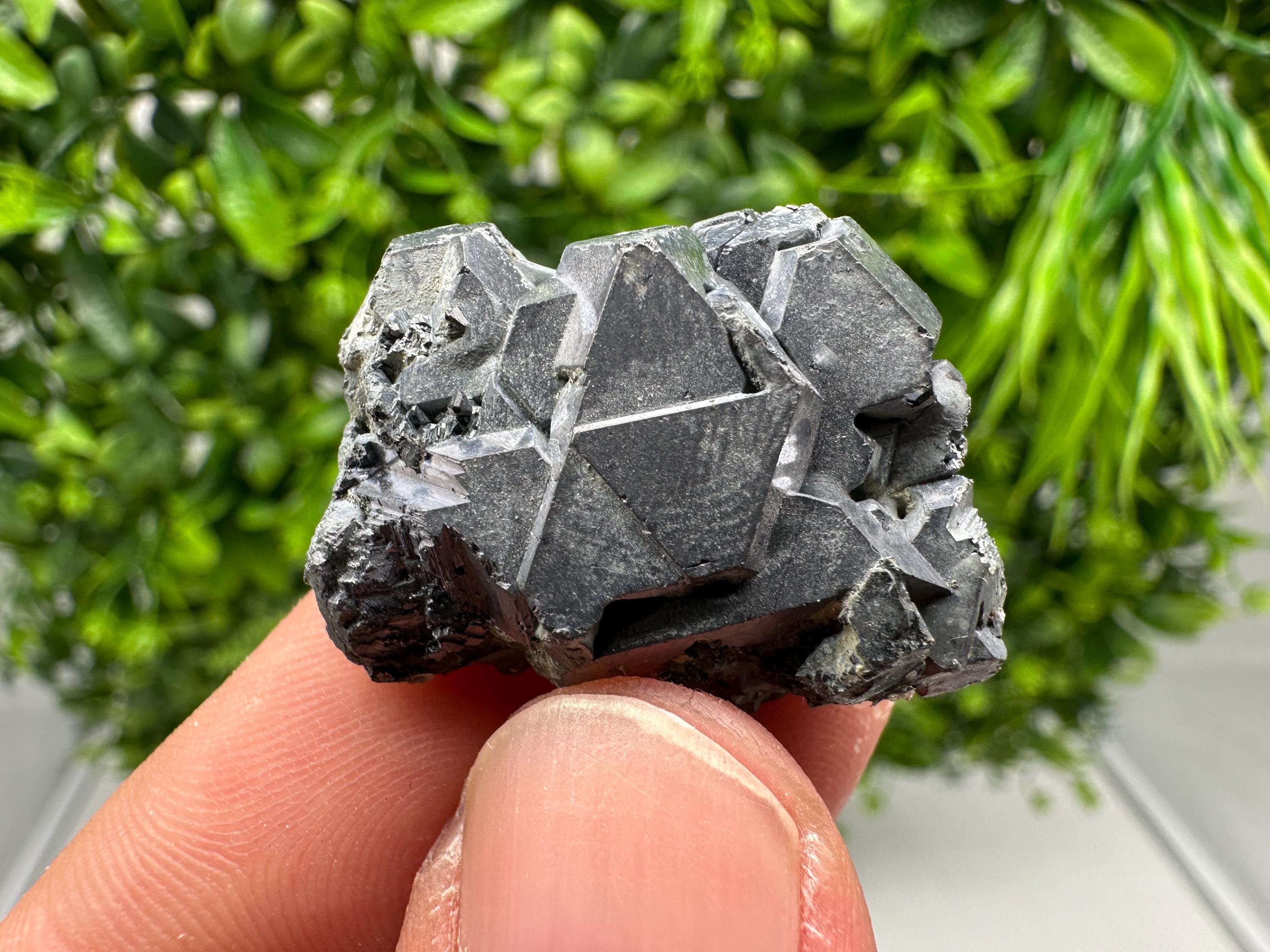 Shiny Galena Cluster: Borieva Mine, Bulgaria - Natural Mineral Stone