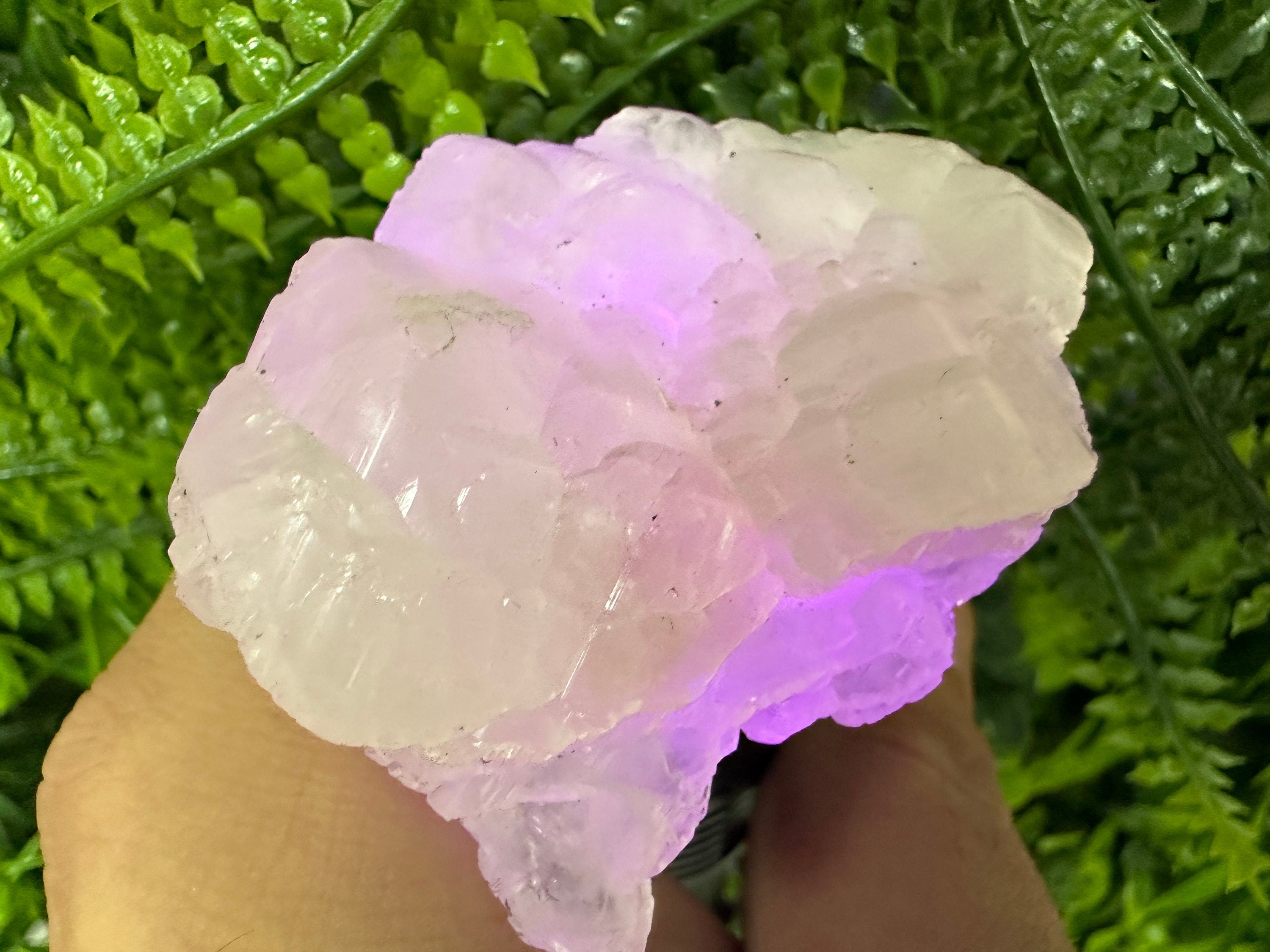 Fluorescent Mangano Calcite Specimen: Rhodopes Bulgaria Mineral Decor