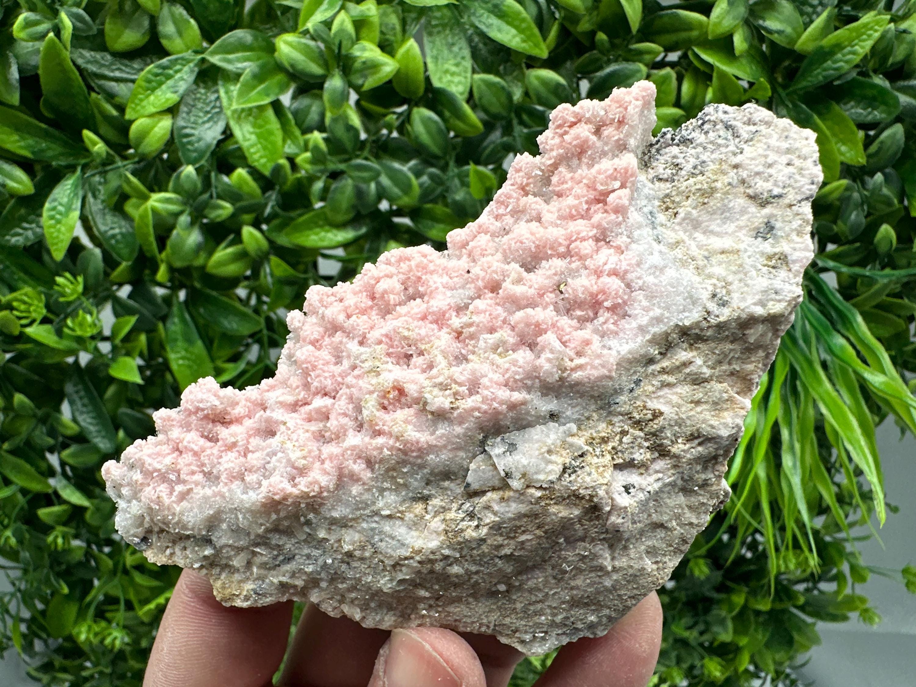Rhodochrosite on Quartz, Starnica Mine, Bulgaria