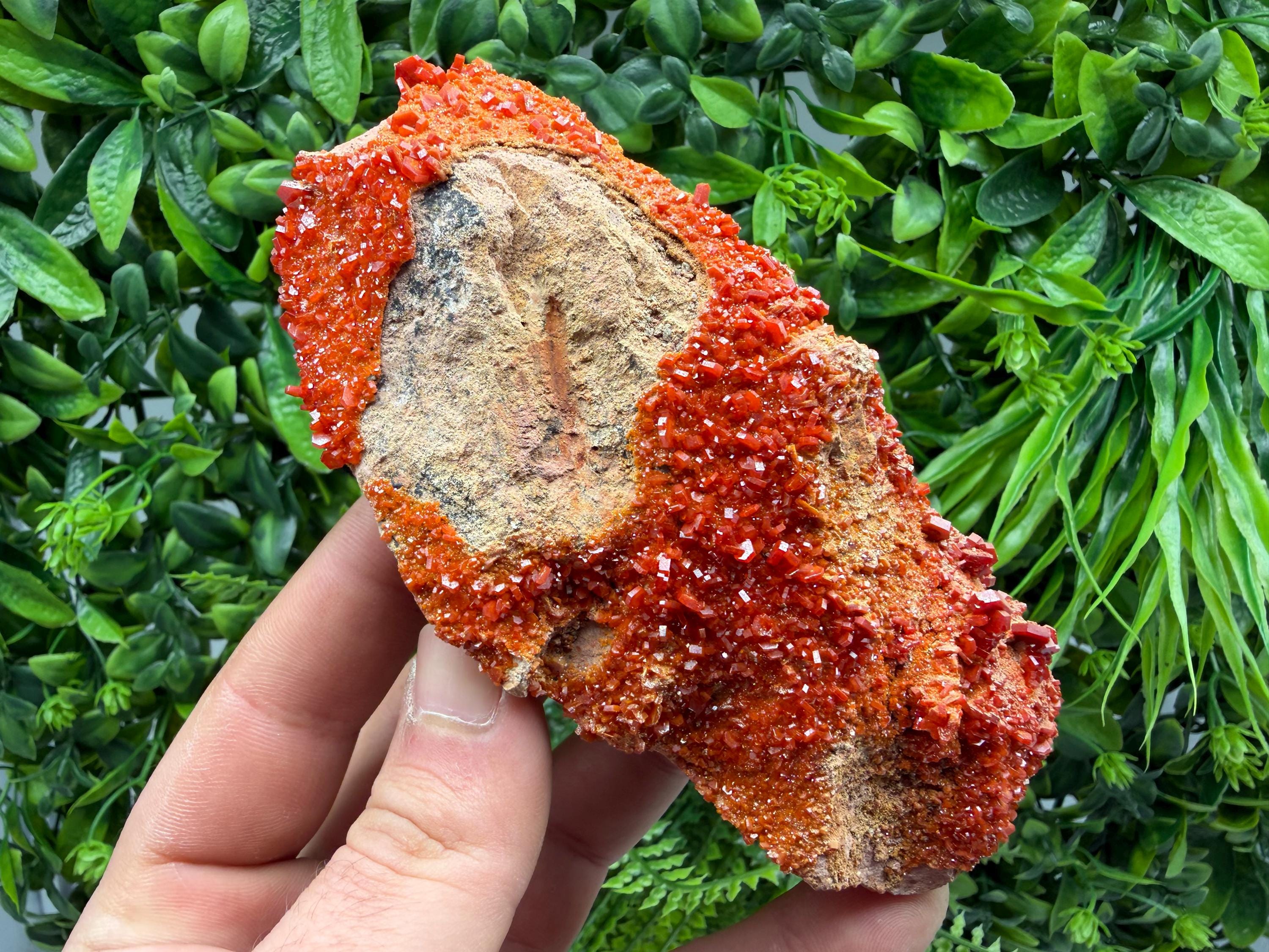 Red Vanadinite on Matrix from Marocco,crystal minerals Speciment cluster Vanadinite crystal Vanadinite Geology Vanadinite cluster minerals