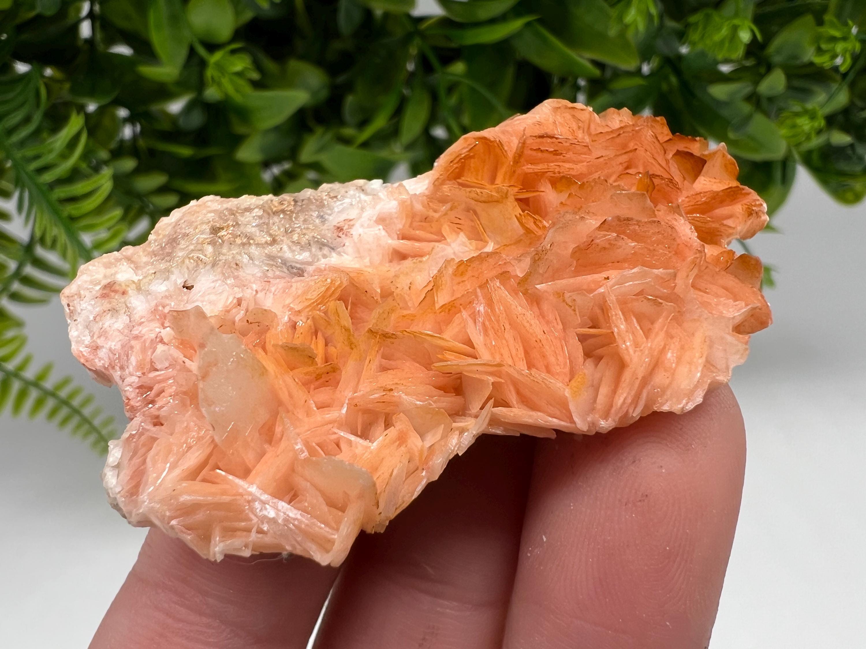 Wonderful Baryte with Cerussite on Galena from Morocco,Crystal, Mineral,Specimen,Cluster,Crystals,Barite Crystal,Cerussite Crystal,Specimen