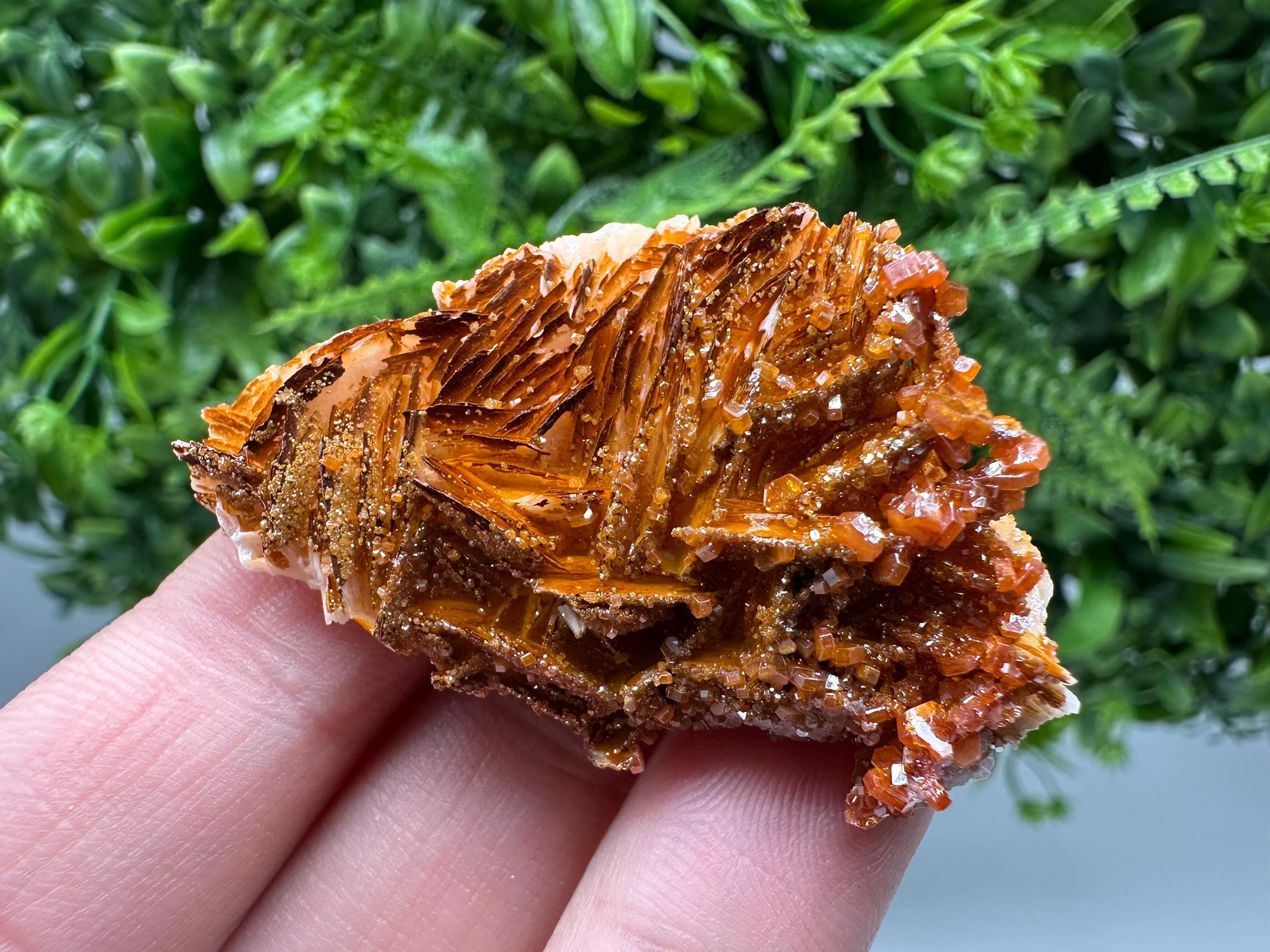 Red Vanadinite on Barite Cluster, Moroccan Crystal Mineral Specimen