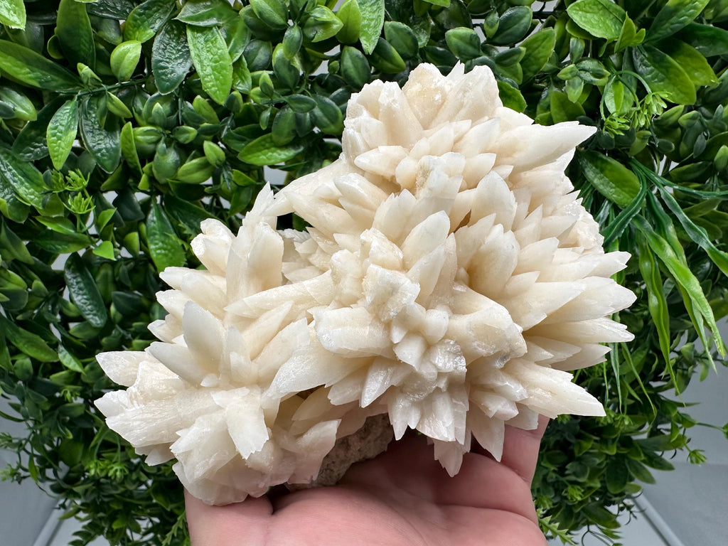 Calcite on Aragonite Crystal Cluster - Djurcovo Mine, Bulgaria