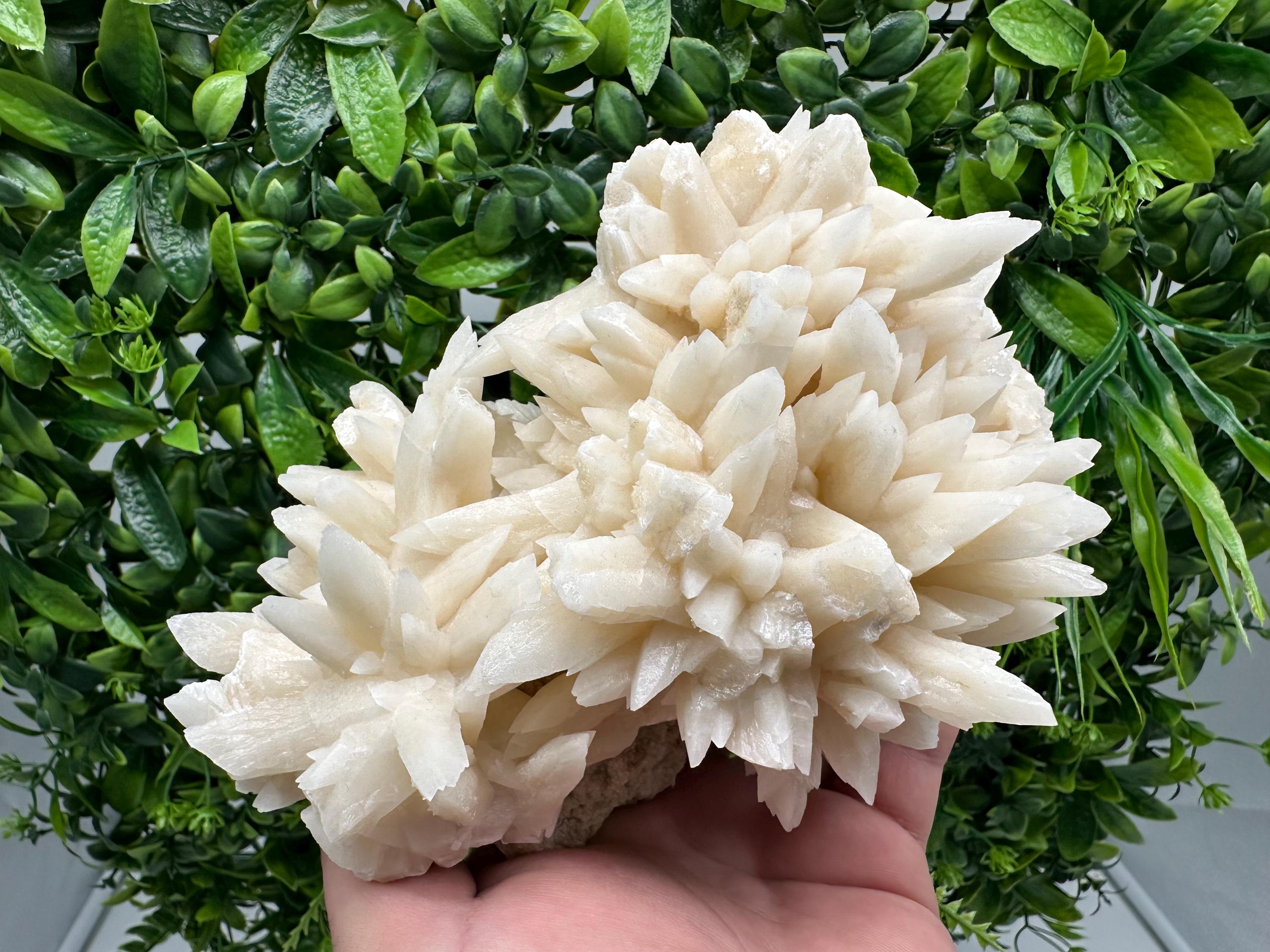 Calcite on Aragonite Crystal Cluster - Djurcovo Mine, Bulgaria