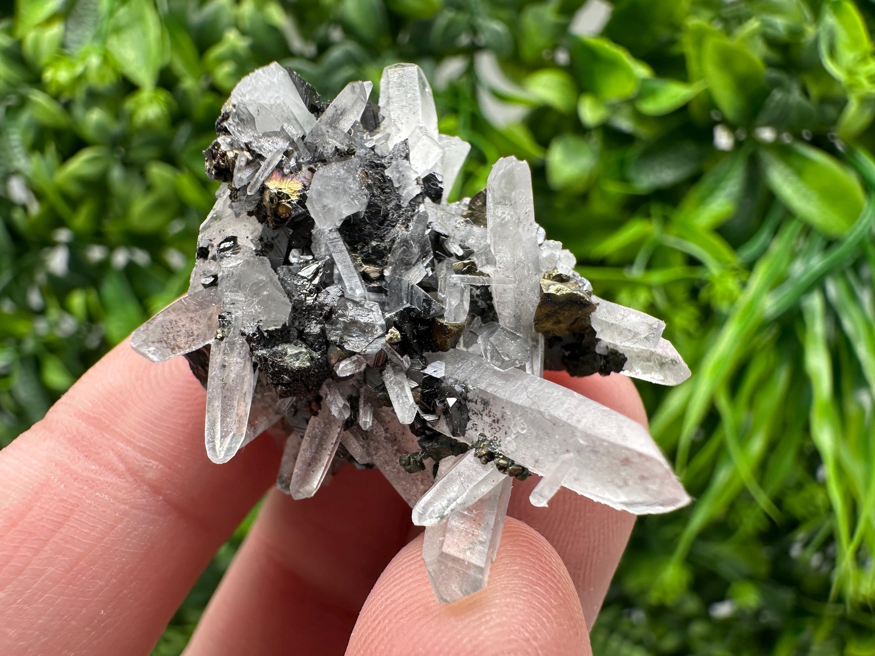 Wonderful Sphalerite Chalcopyrite on  Quartz whit Galena feom 9 th September mine,Bulgaria,natural,collection mineral specimen,gift