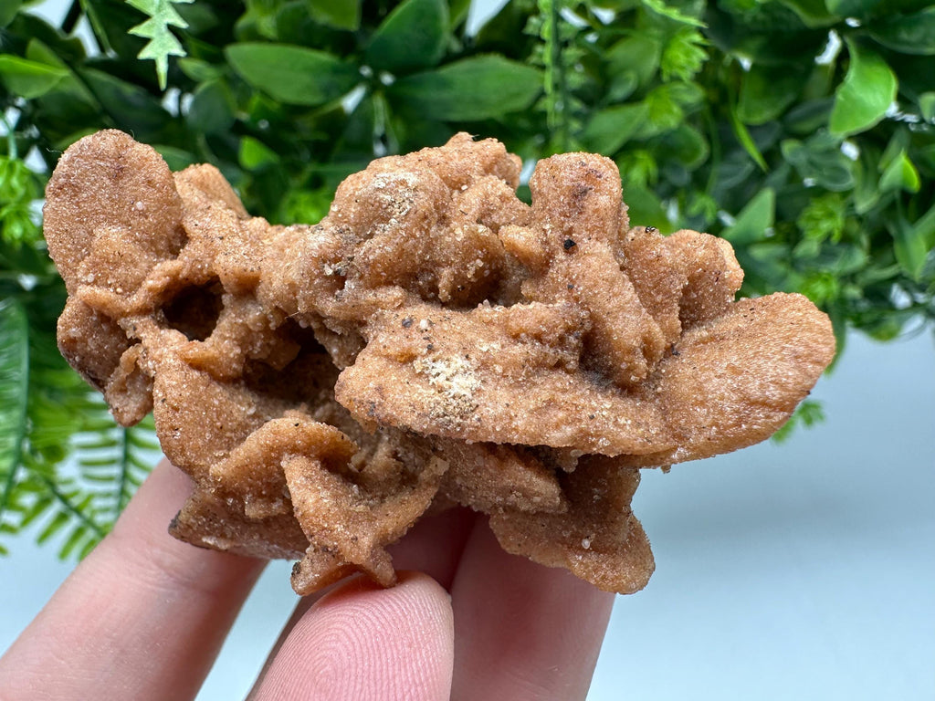 Natural Desert Rose Crystal - Root Chakra Healing Selenite Stone