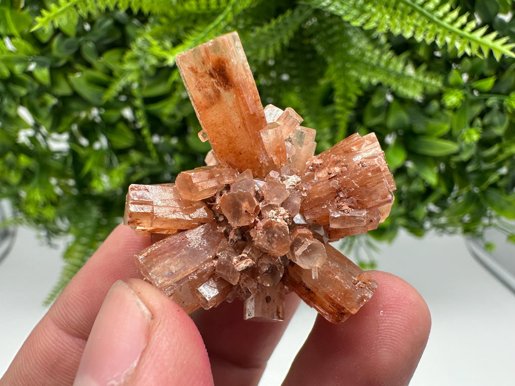 Moroccan Aragonite Sputnik Crystal Cluster: Raw Stone Decor