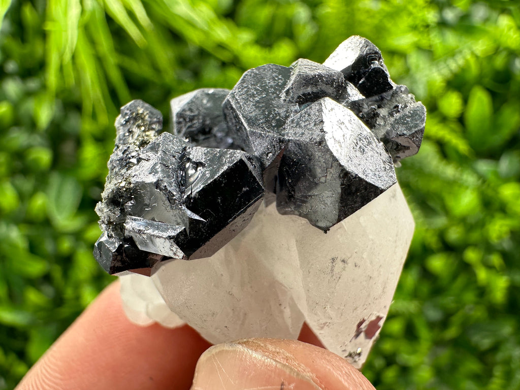 Shiny Galena on Calcite, Borieva Mine Mineral Specimen