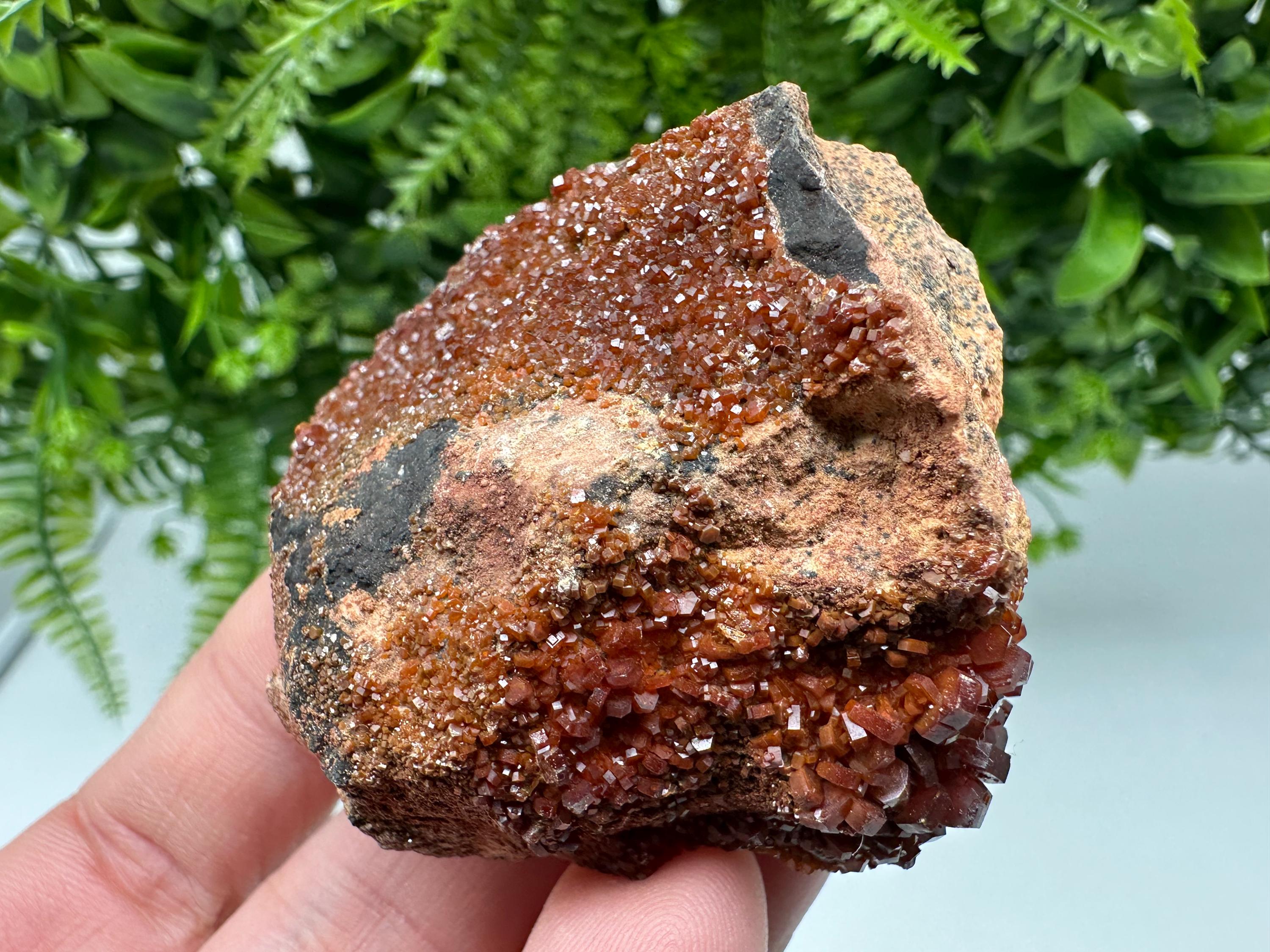 Red Vanadinite on Matrix from Marocco,crystal minerals Speciment cluster Vanadinite crystal Vanadinite Geology Vanadinite cluster minerals