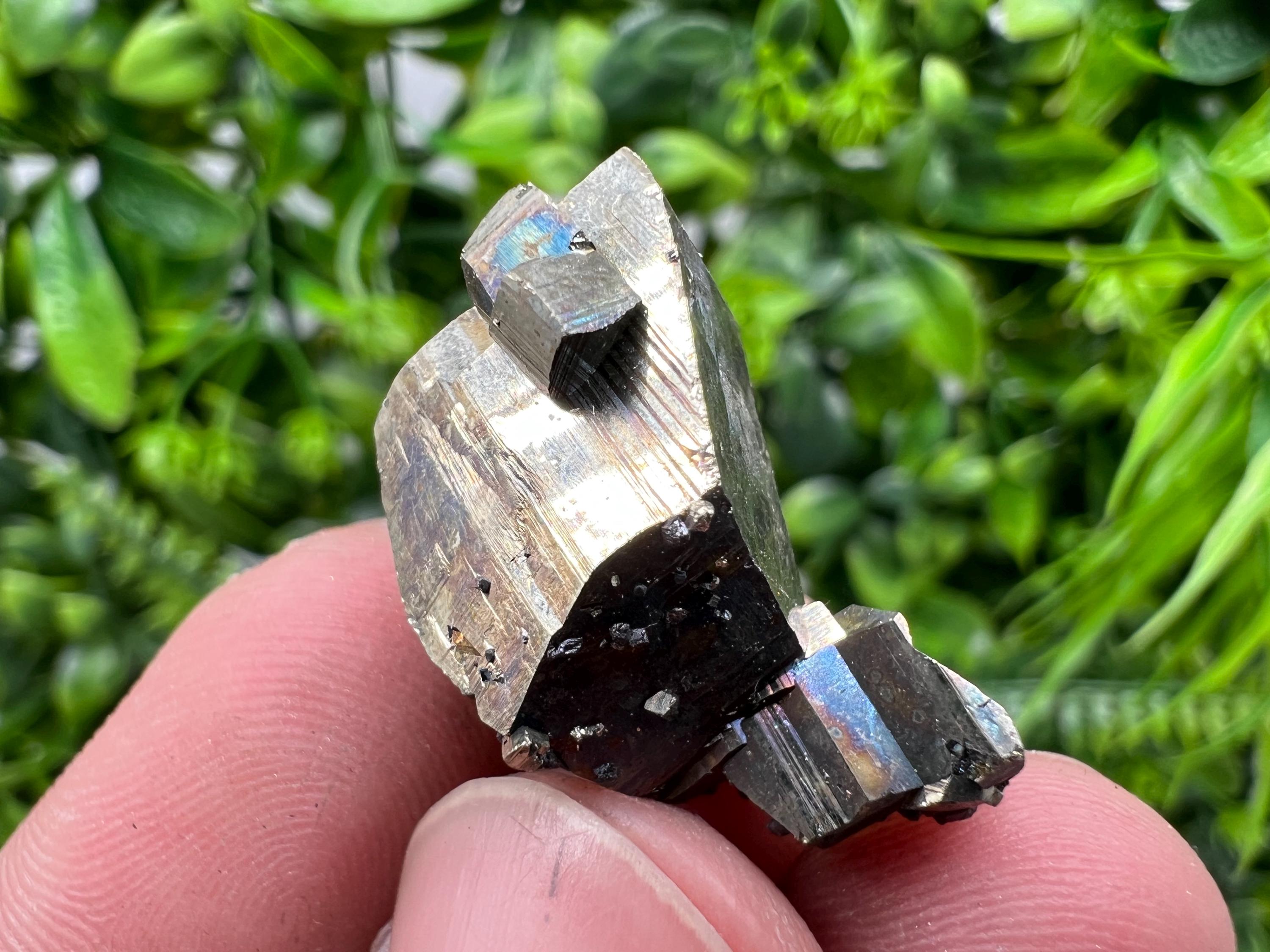 Rare Crystallization Pyrite, Borieva Mine, Bulgaria, Rainbow Golden Pyrite
