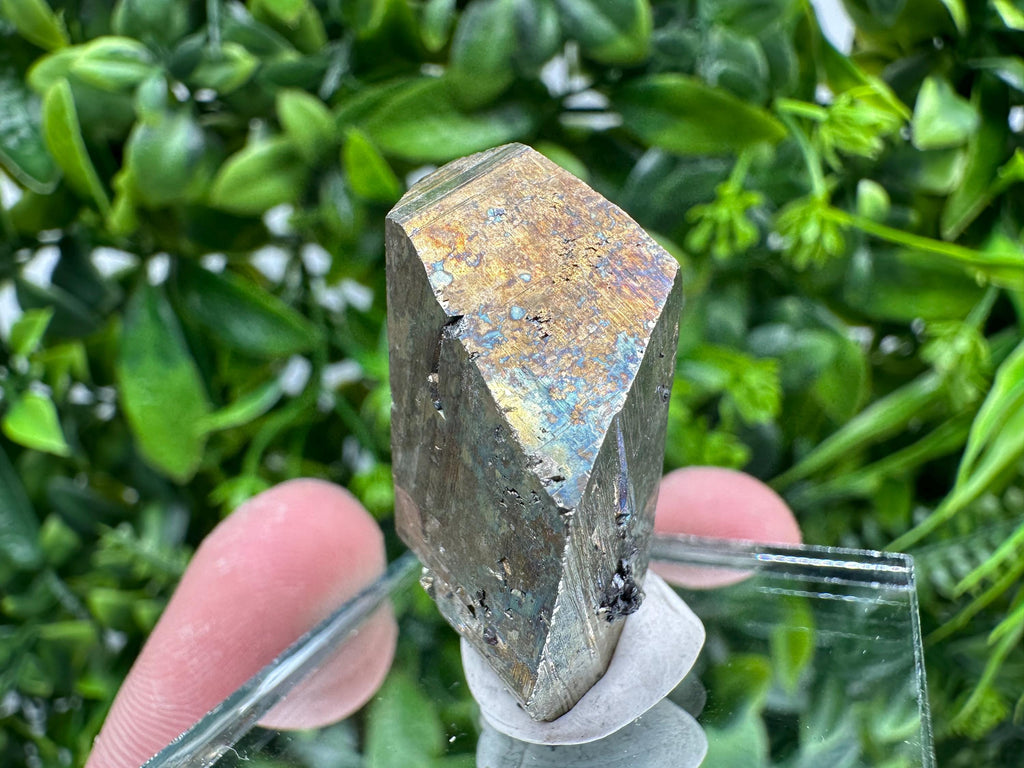 Rare Rainbow Pyrite Crystal Cluster - Borieva Mine, Bulgaria