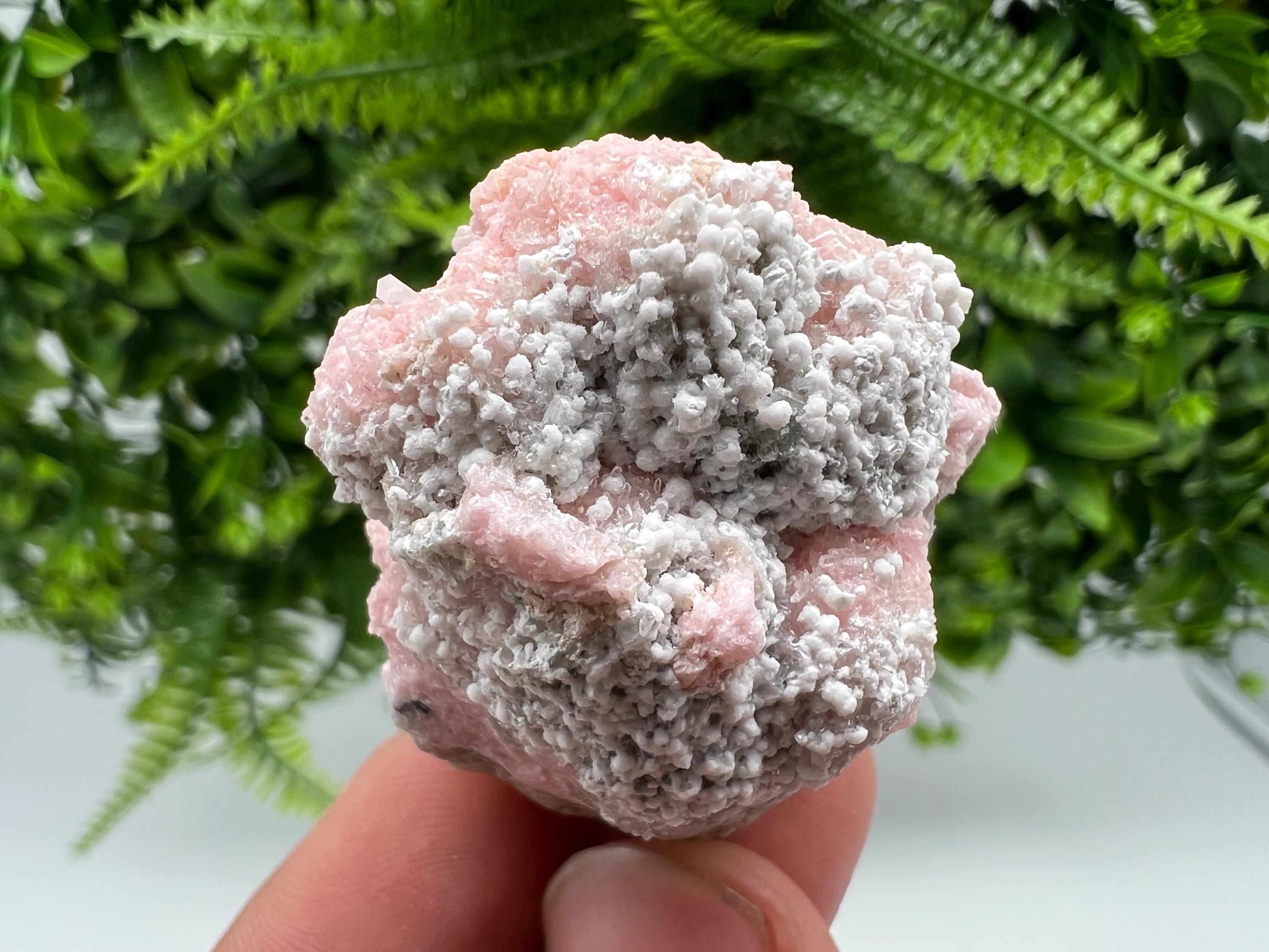 Rare Rhodochrosite with Calcite, Starnica Mine, Bulgaria