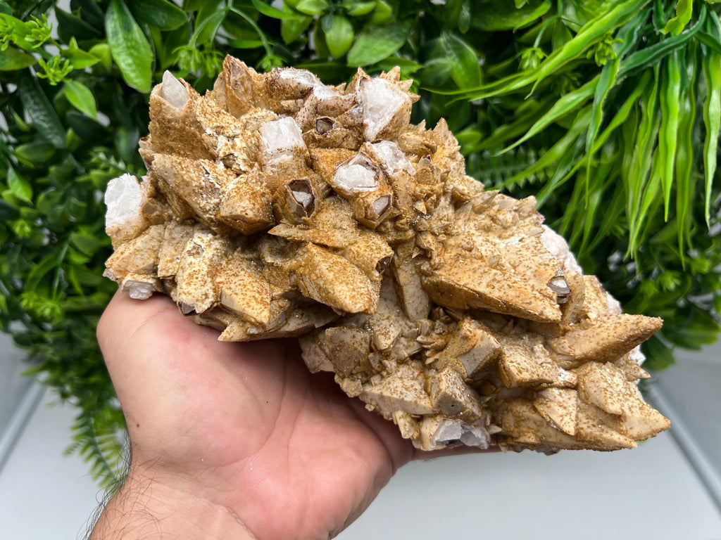 Stunning Brown Rhodochrosite on Calcite,Chalcedony,from Djurcovo mine,Bulgaria,natural collection mineral specimen,home decor crystal,gift