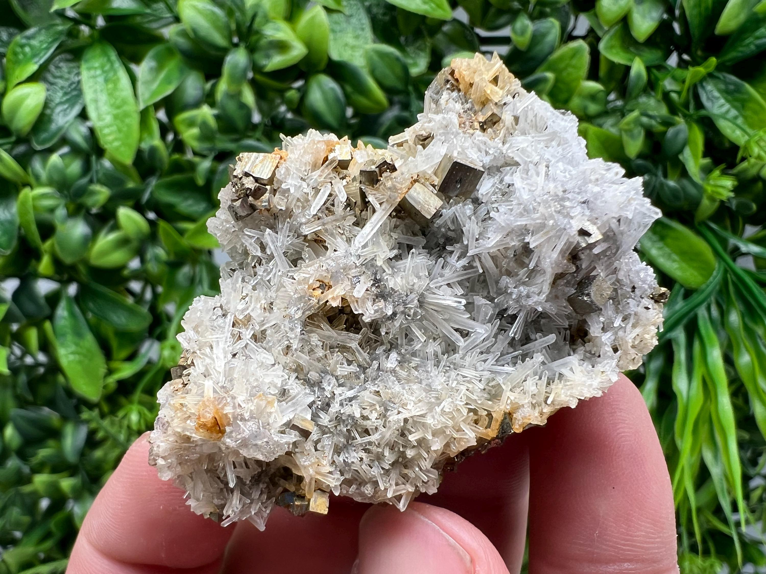 Rainbow Pyrite on Quartz with Oxide, Natural Minerals, Bulgaria